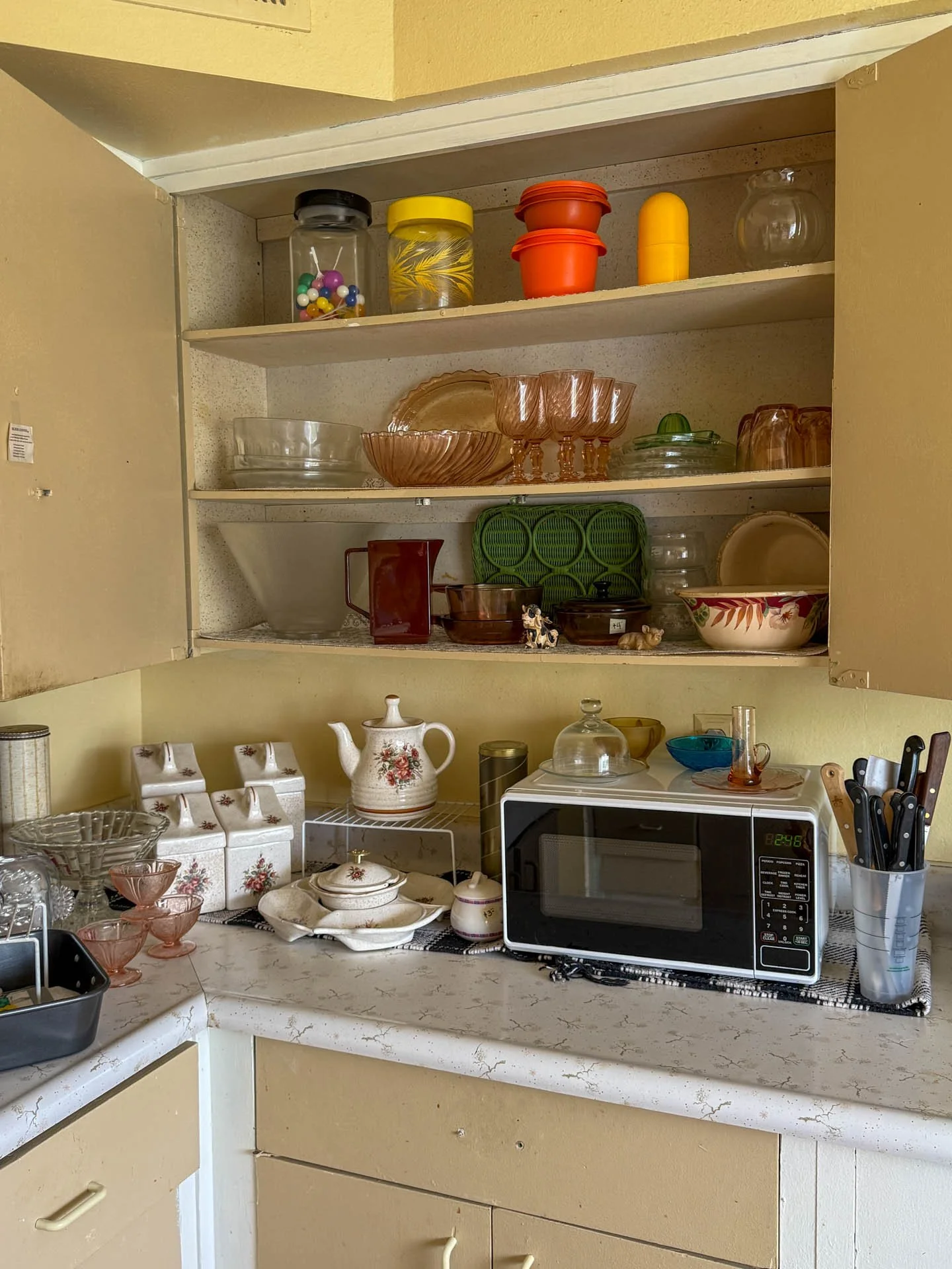 9549 Pistacio-20260218-0019.jpg