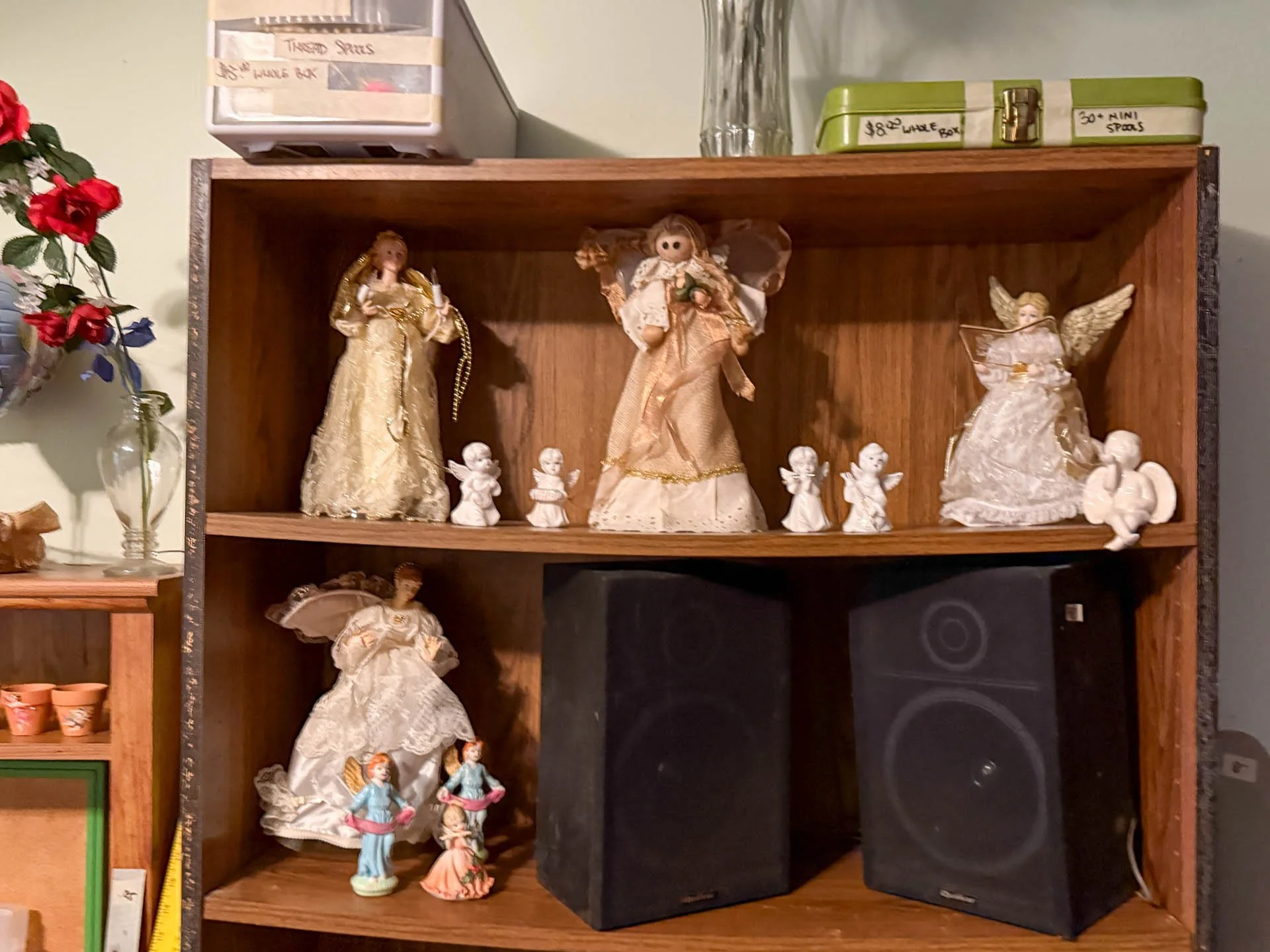 9549 Pistacio-20260218-0025.jpg