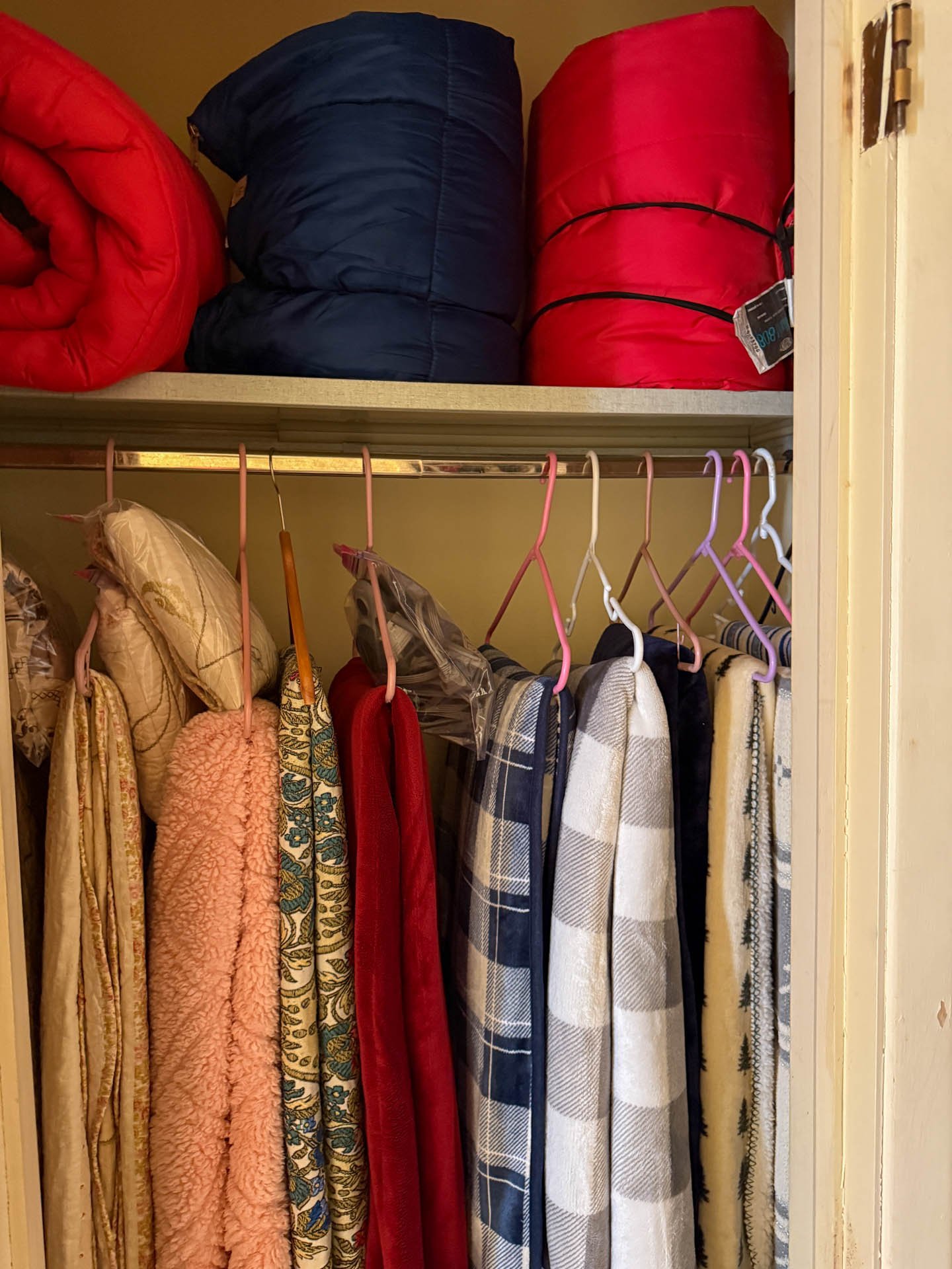 9549 Pistacio-20260218-0035.jpg