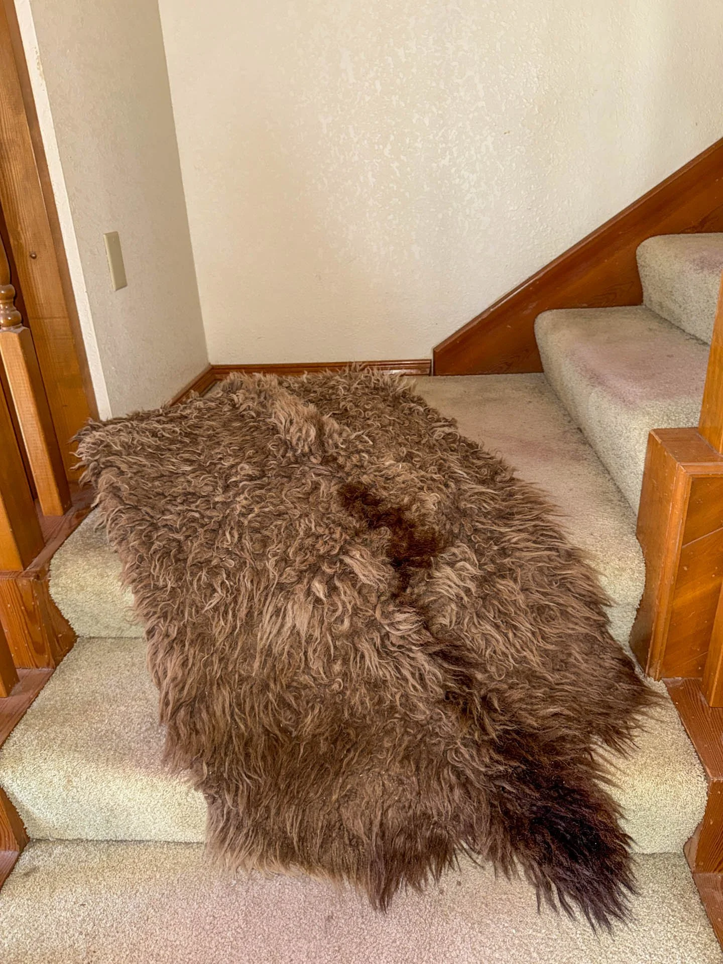 4317 Jon Cunningham EPTX 79934-20260325-0022.jpg