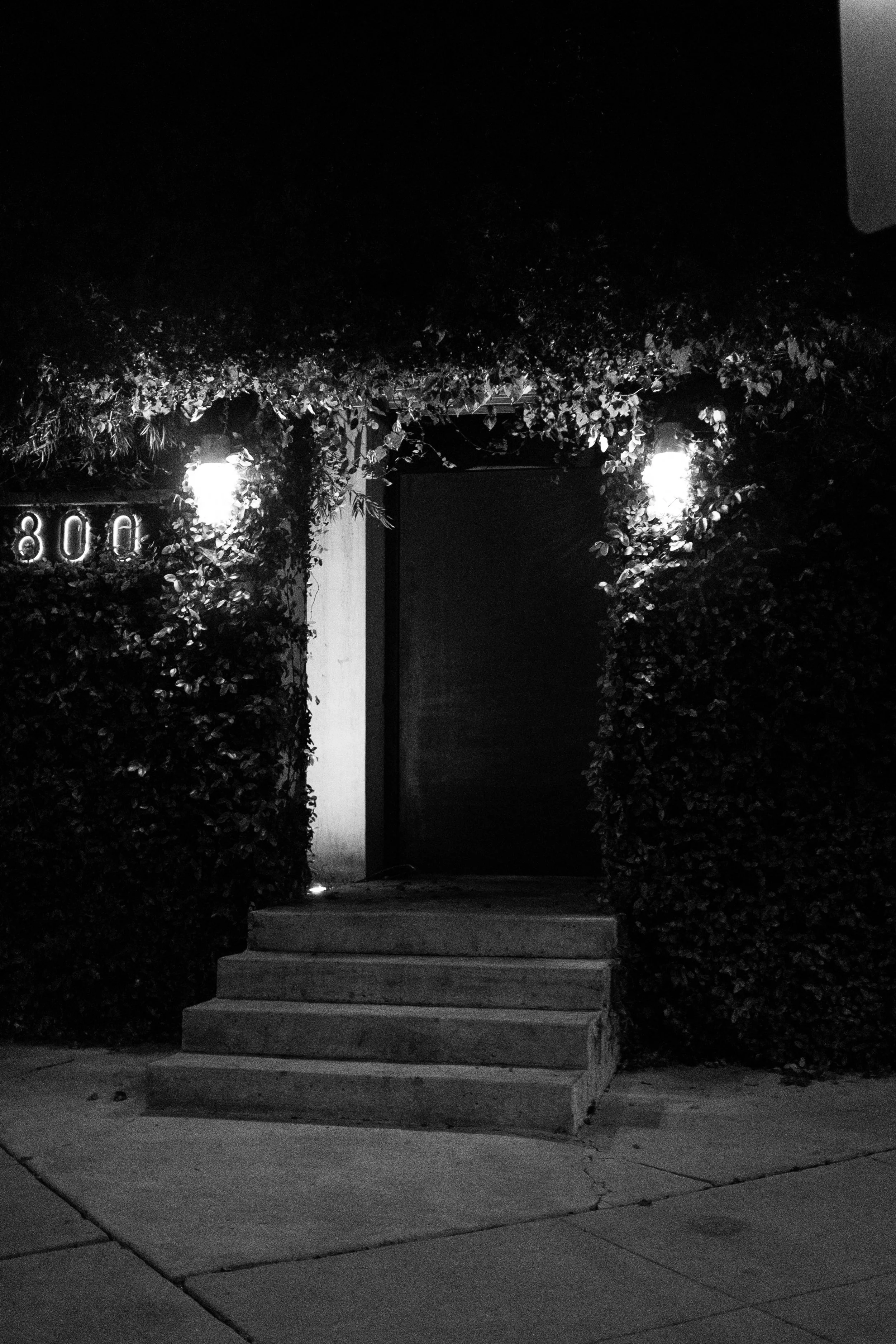 Walking Through the Streets of Hollywood | 12-9-2025