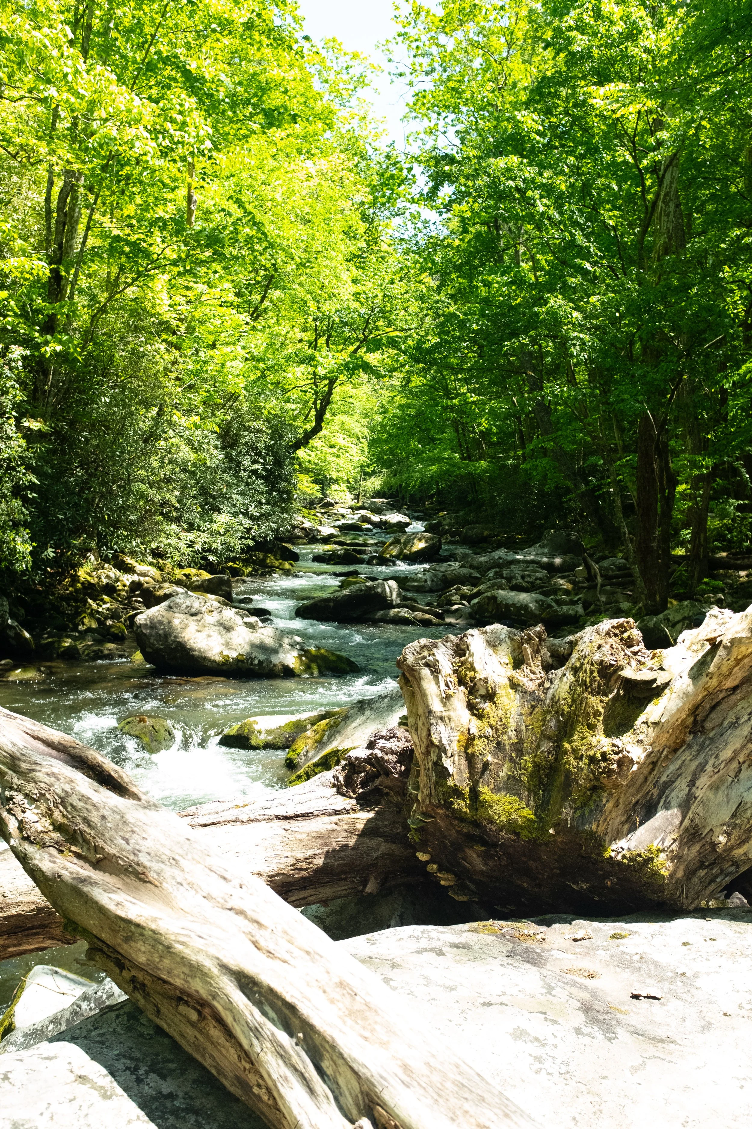 Smoky Mountain Bachelor Party Weekend | May 2026