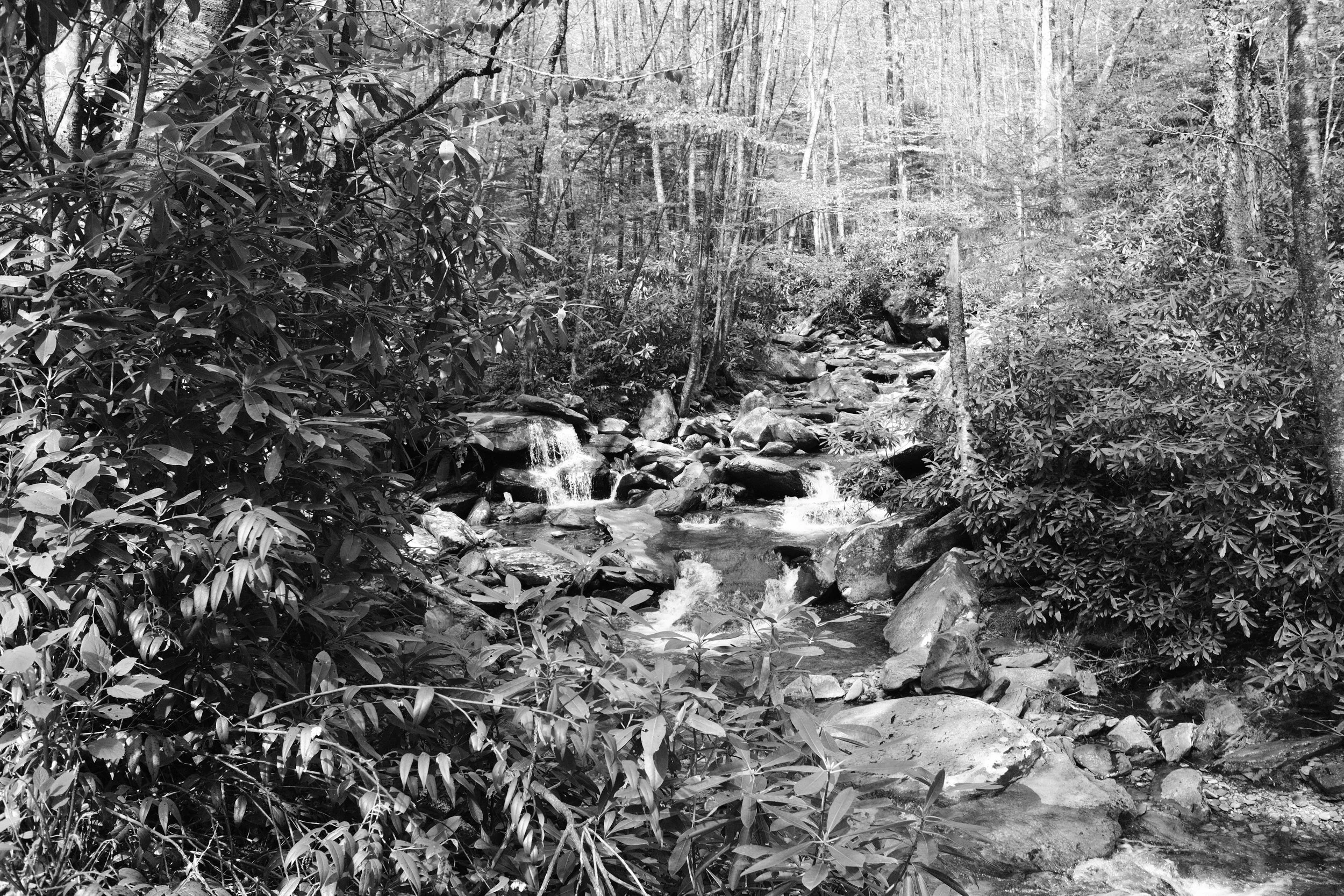 Smoky Mountain Bachelor Party Weekend | May 2026
