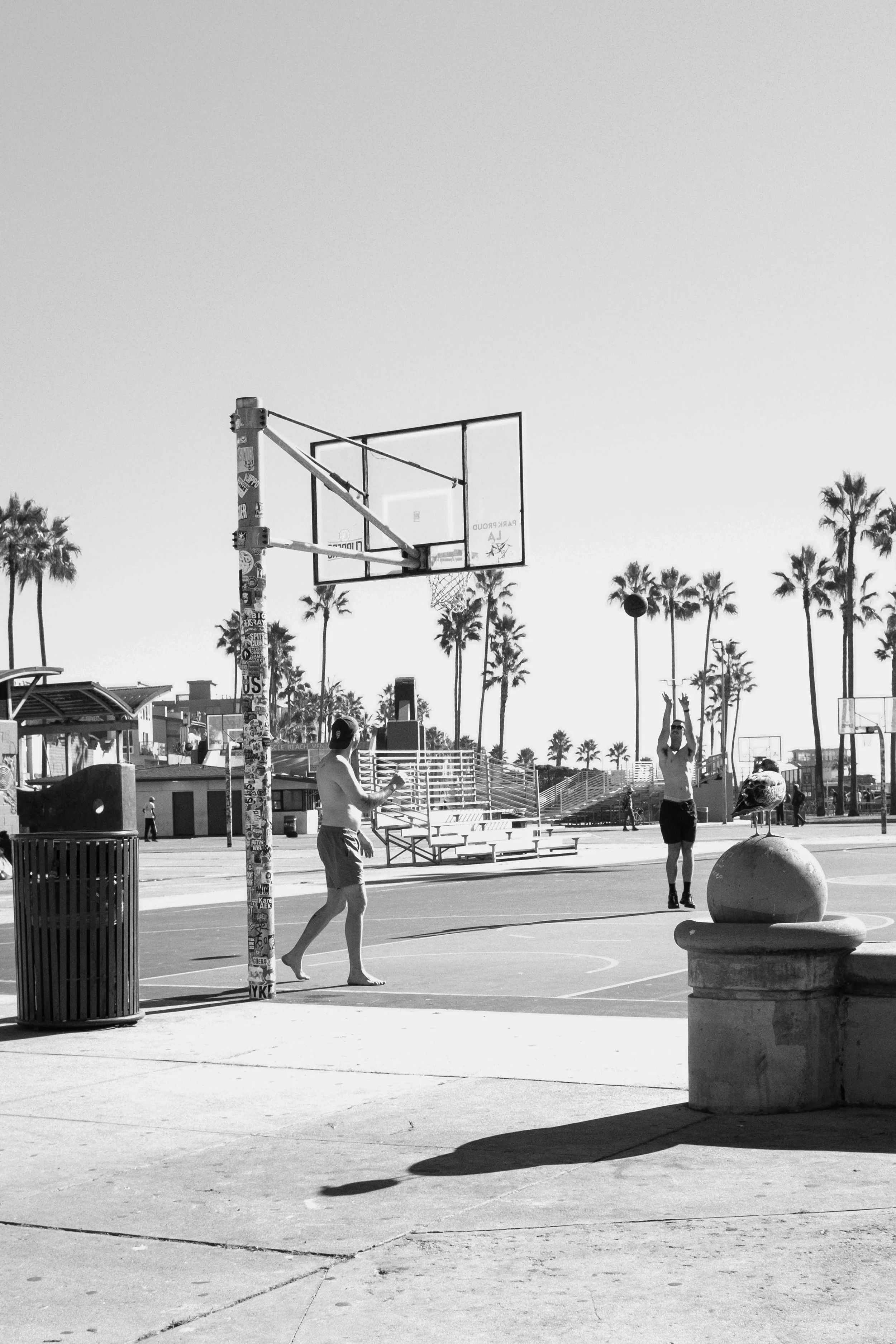 Snapshots From Venice Beach, Malibu, and San Diego | Dec. 2025