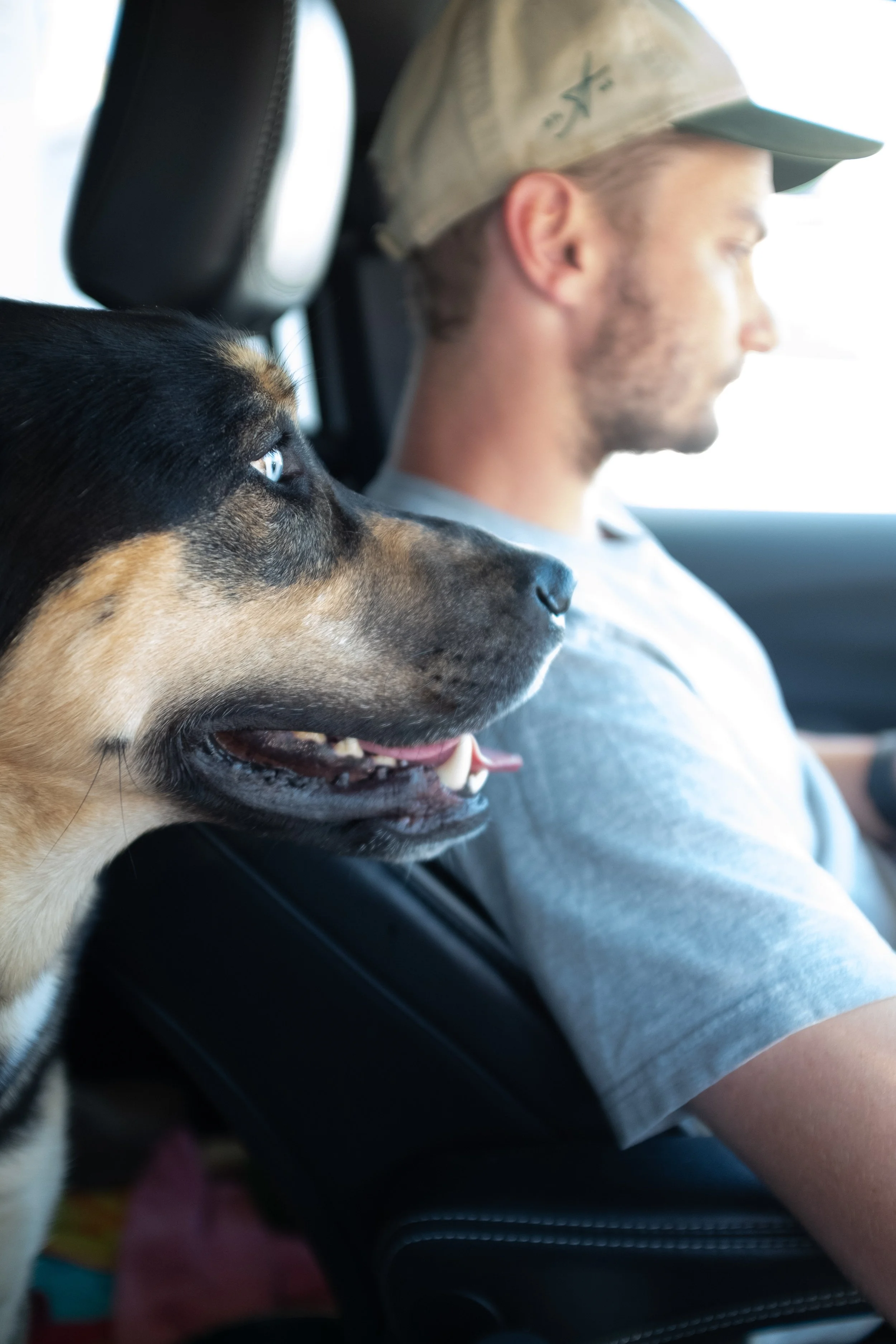 Road Trip Across I-40 | April 2026