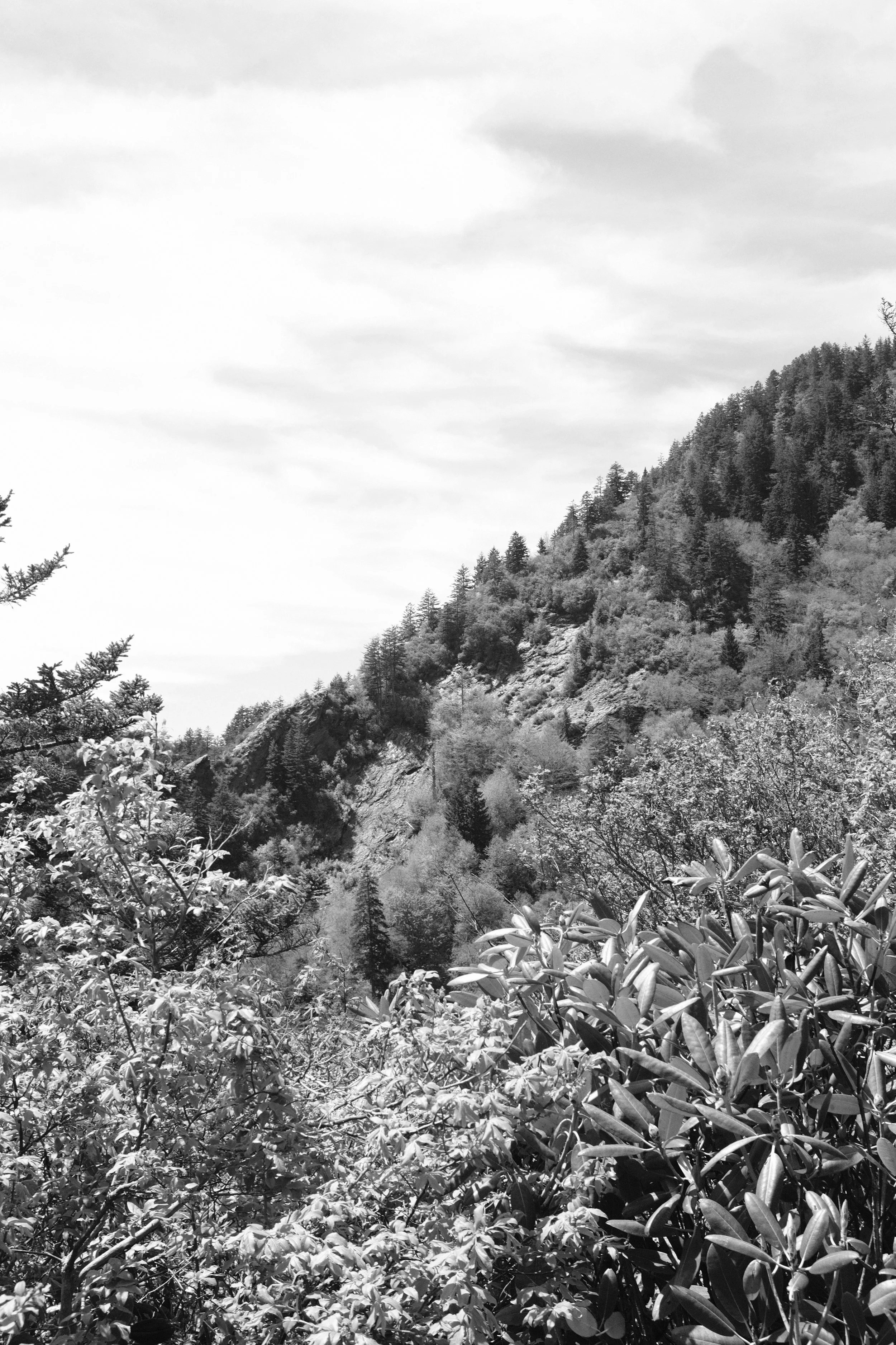 Smoky Mountain Bachelor Party Weekend | May 2026