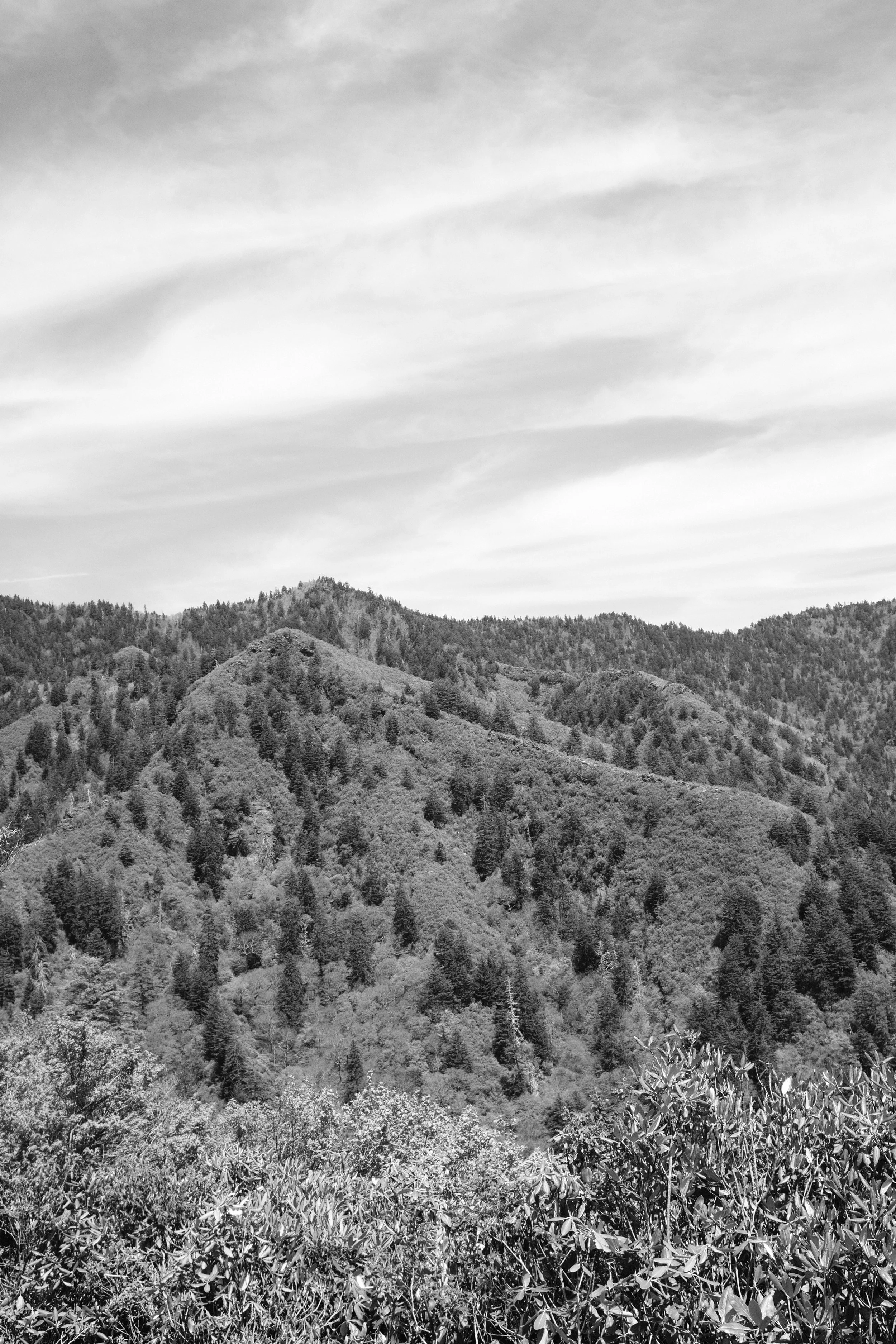 Smoky Mountain Bachelor Party Weekend | May 2026