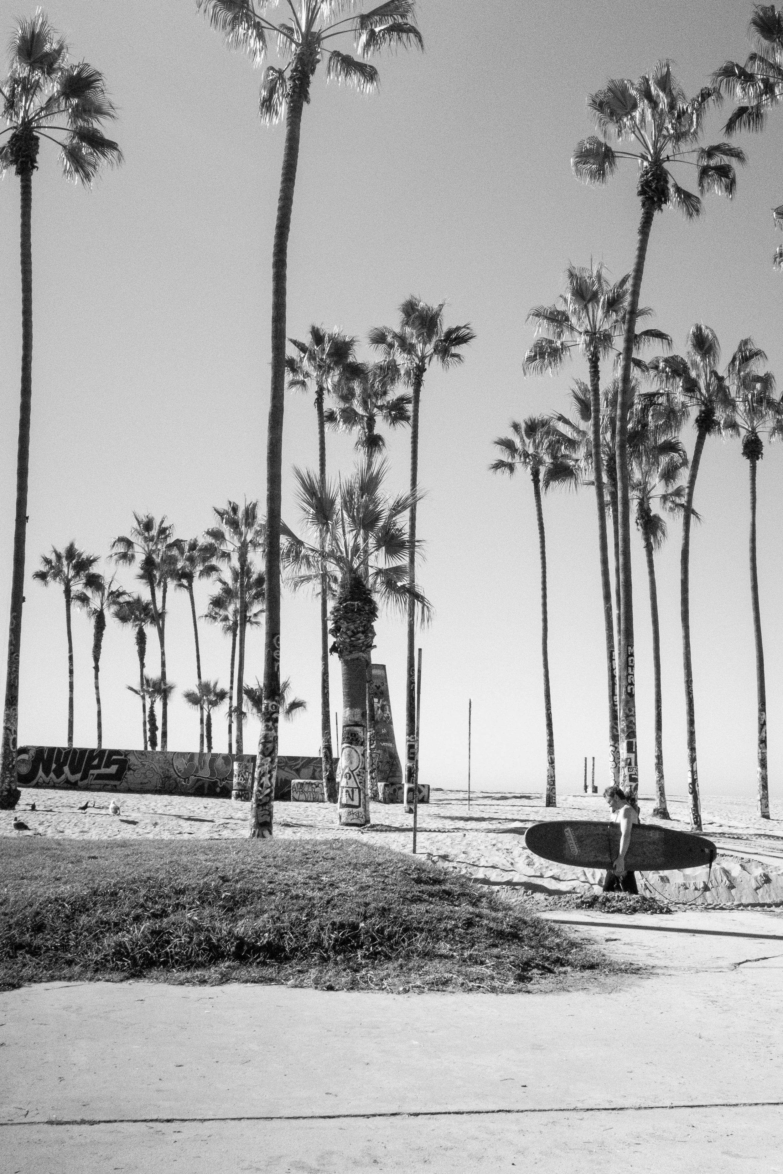 Snapshots From Venice Beach, Malibu, and San Diego | Dec. 2025