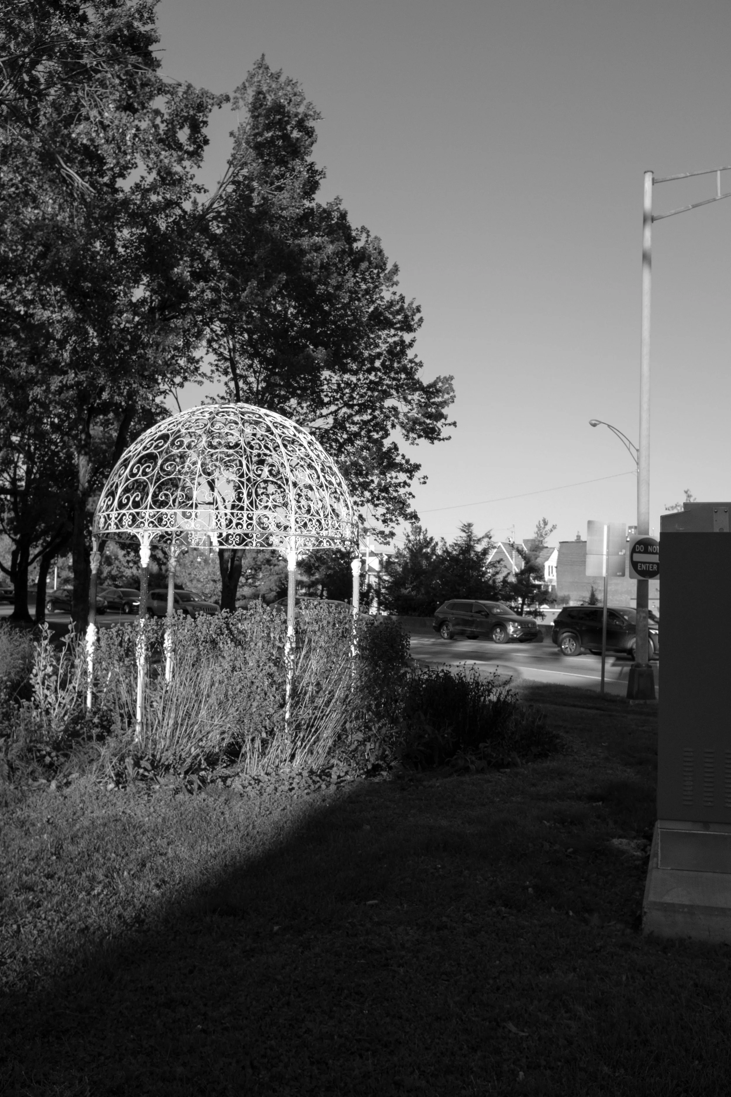 First Week With the Fujifilm X100f | Nov. 2025