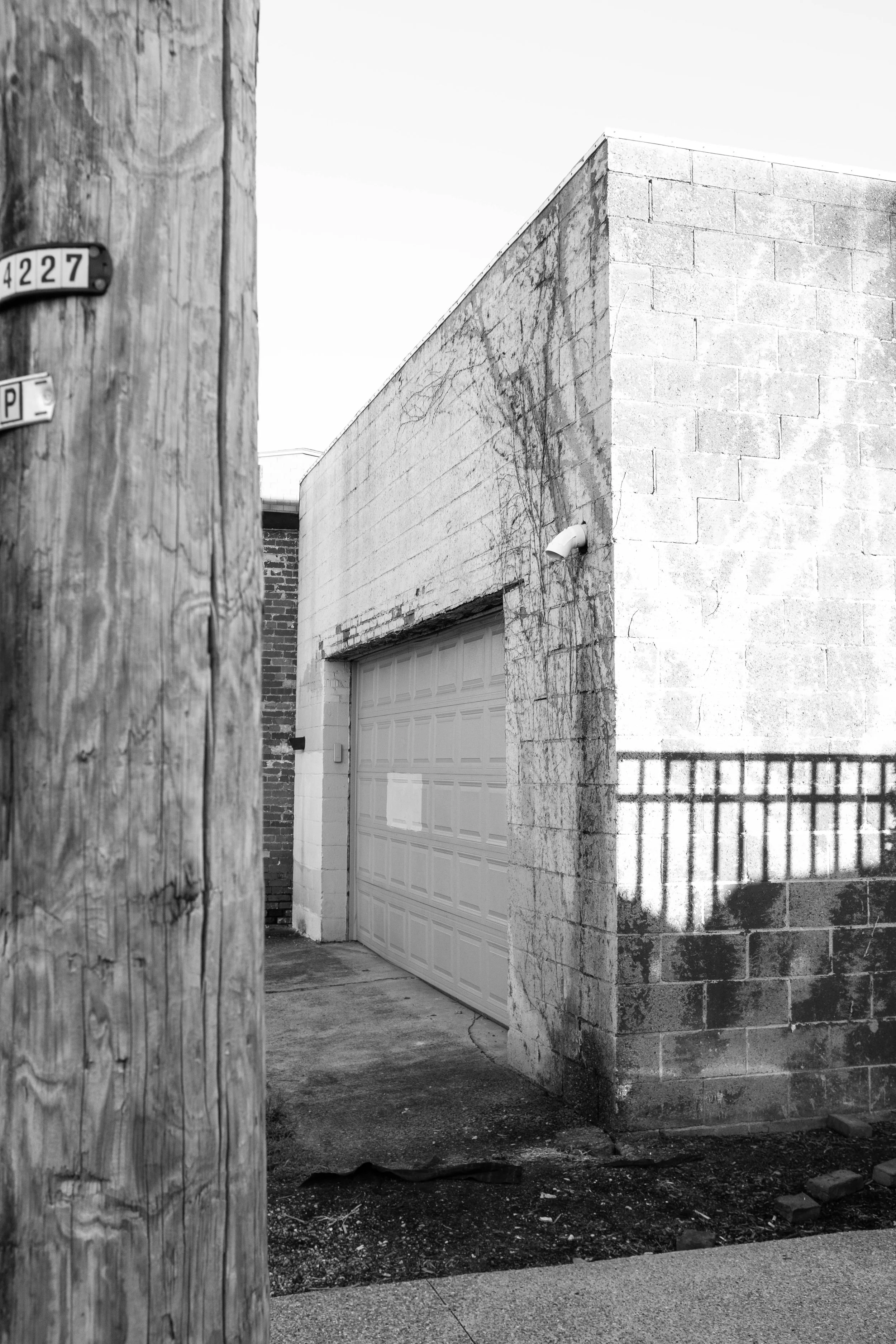 First Week With the Fujifilm X100f | Nov. 2025