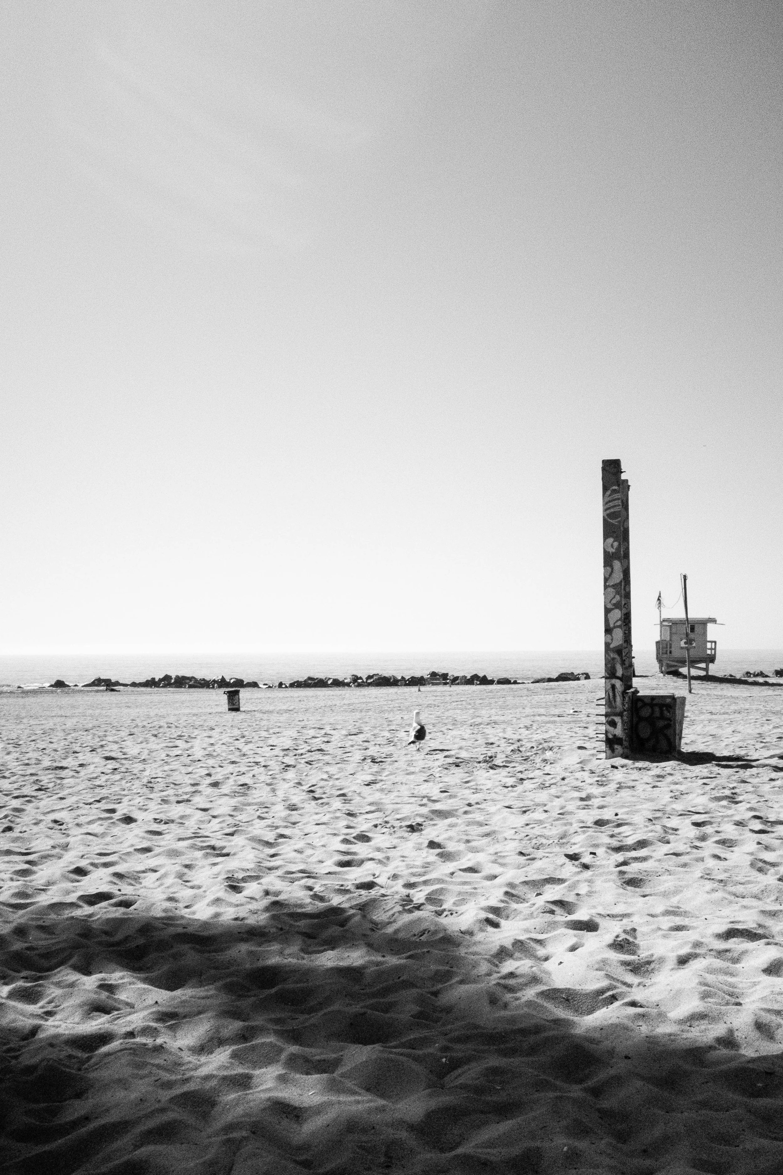 Snapshots From Venice Beach, Malibu, and San Diego | Dec. 2025