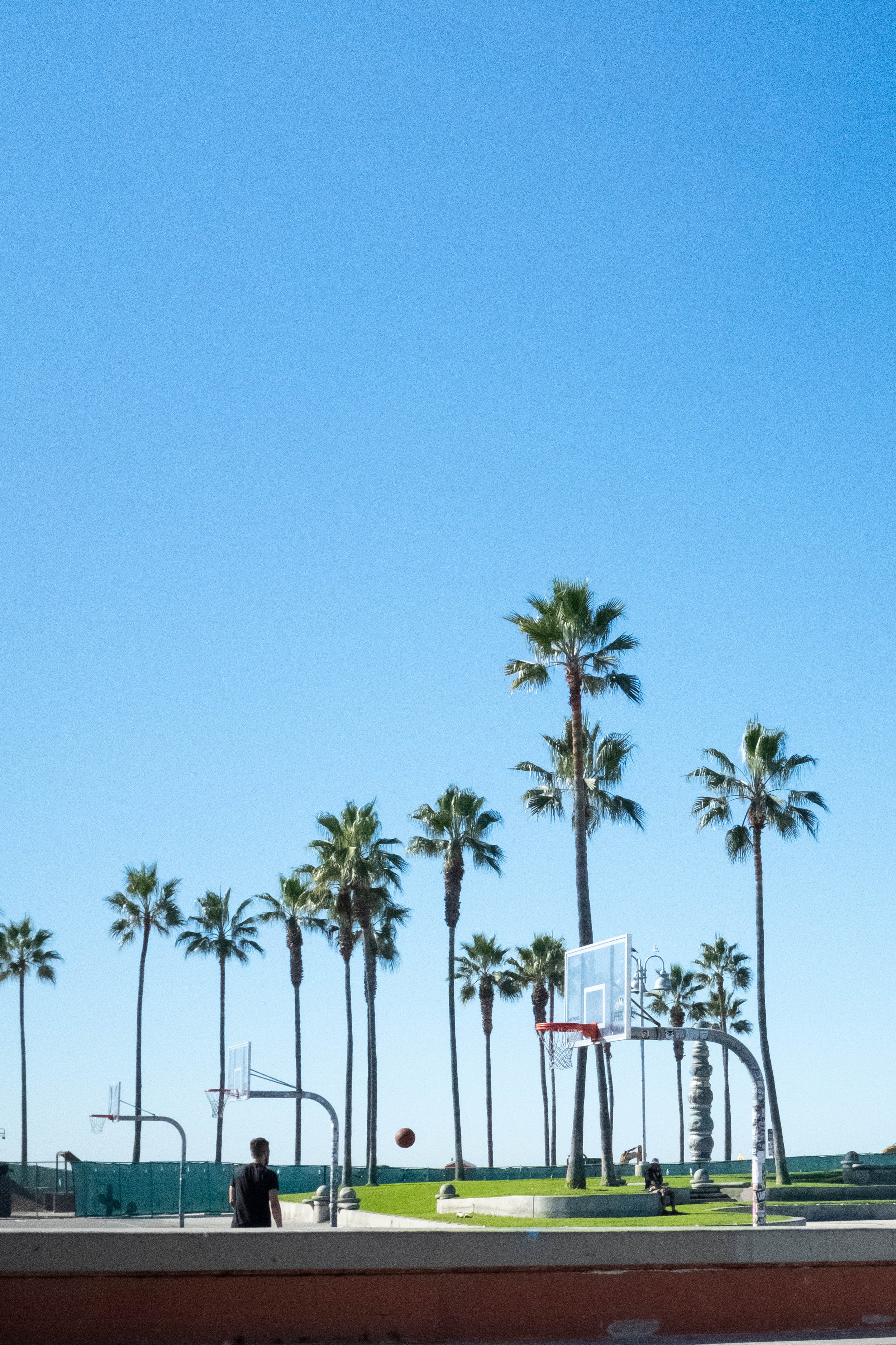 Snapshots From Venice Beach, Malibu, and San Diego | Dec. 2025