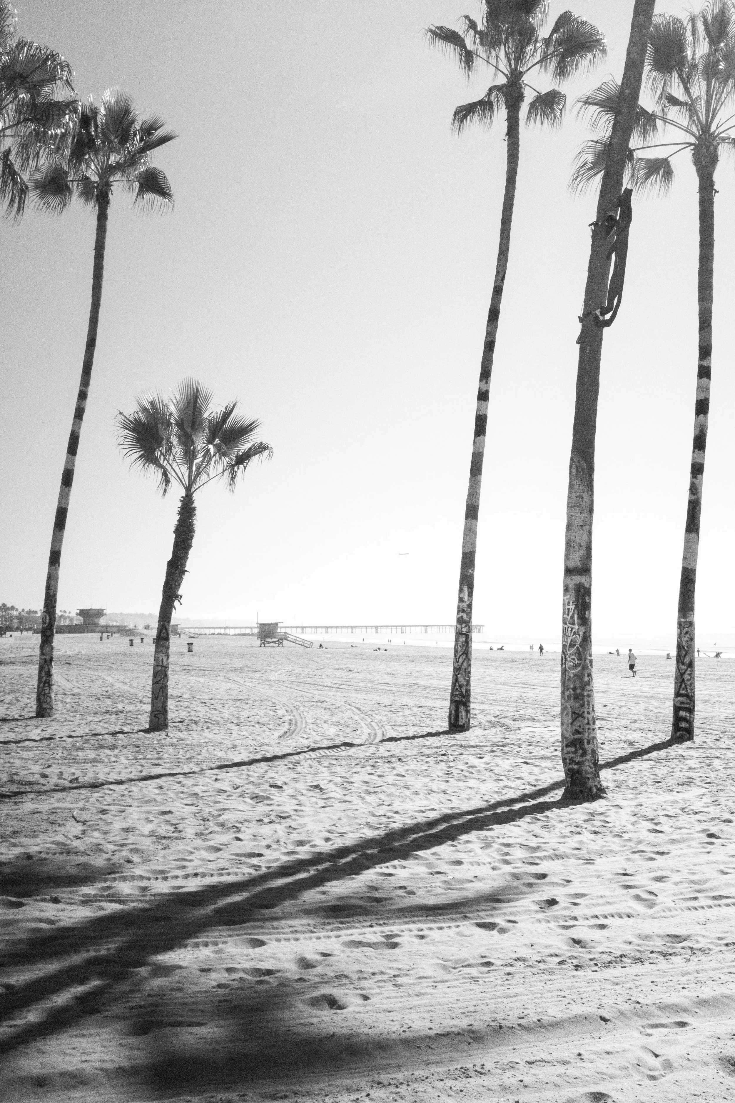 Snapshots From Venice Beach, Malibu, and San Diego | Dec. 2025