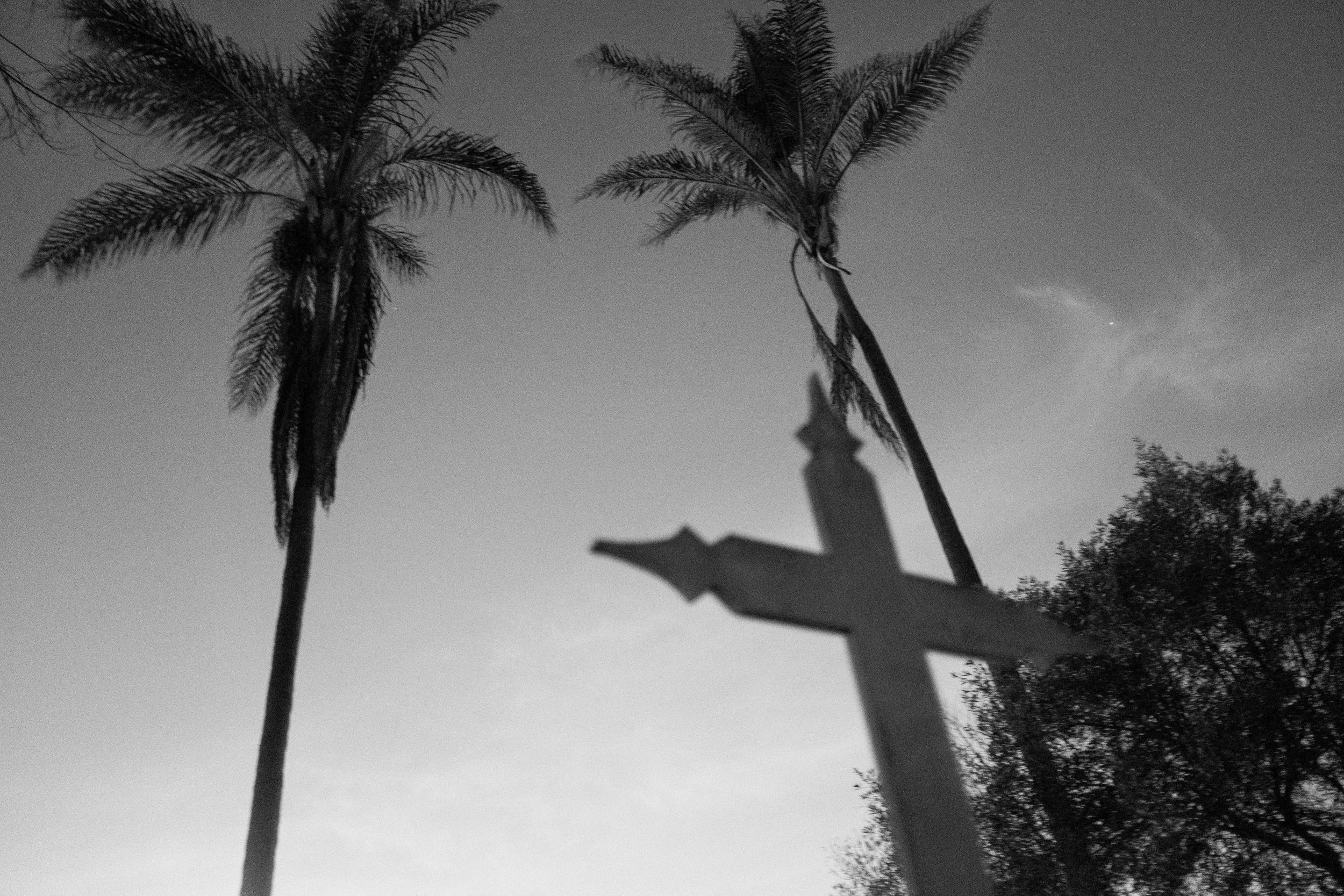 Snapshots From Venice Beach, Malibu, and San Diego | Dec. 2025