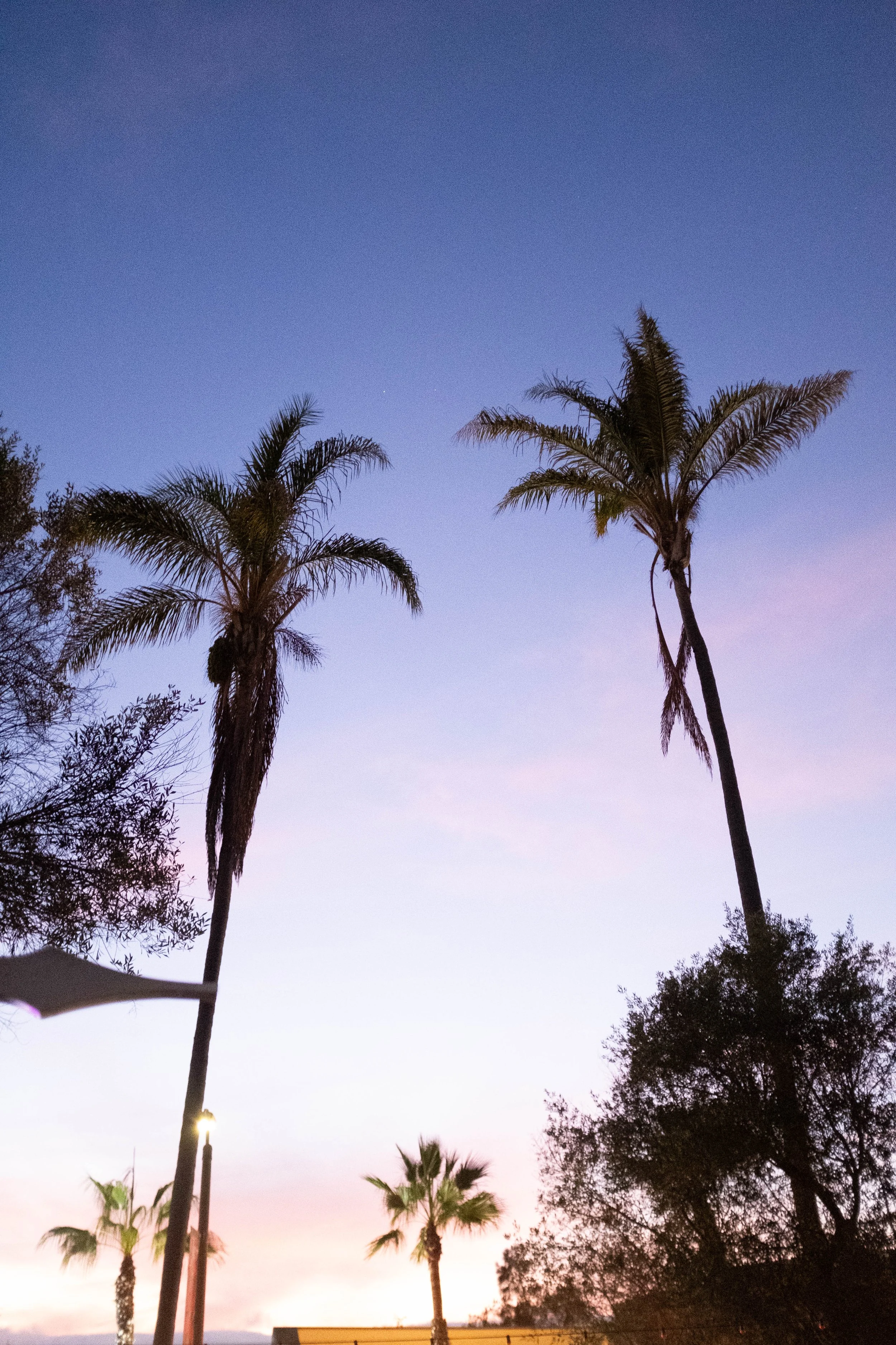 Snapshots From Venice Beach, Malibu, and San Diego | Dec. 2025