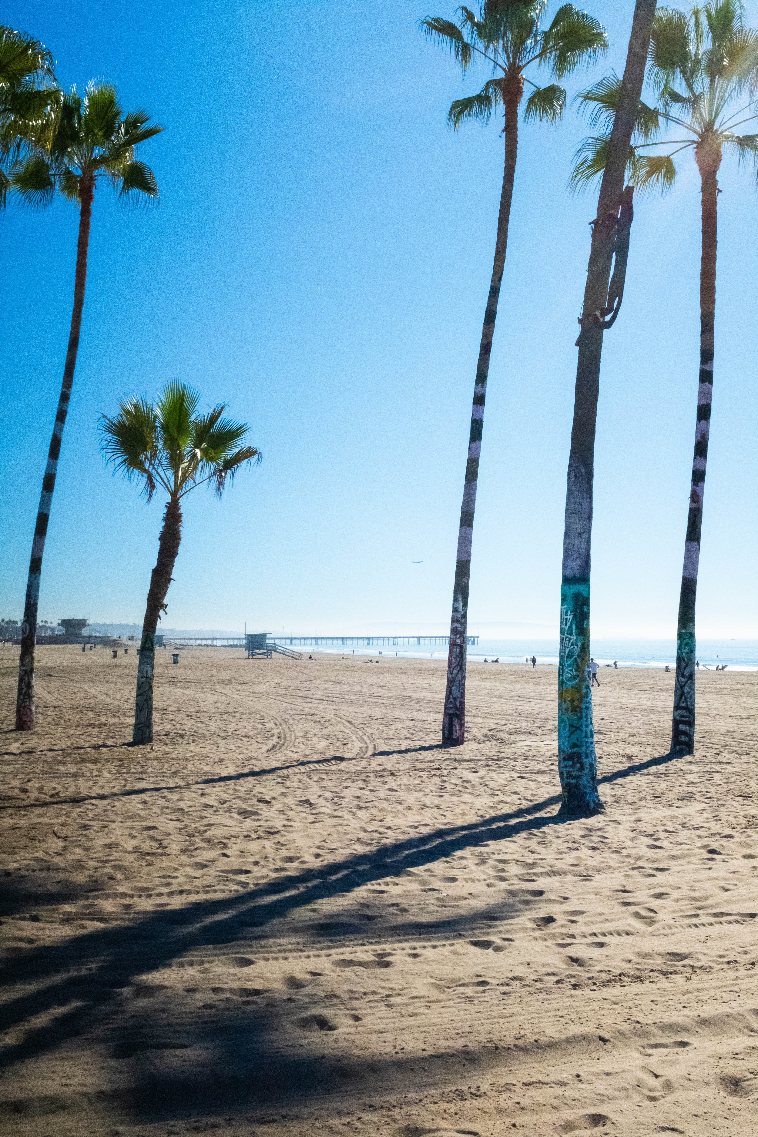Snapshots From Venice Beach, Malibu, and San Diego | Dec. 2025