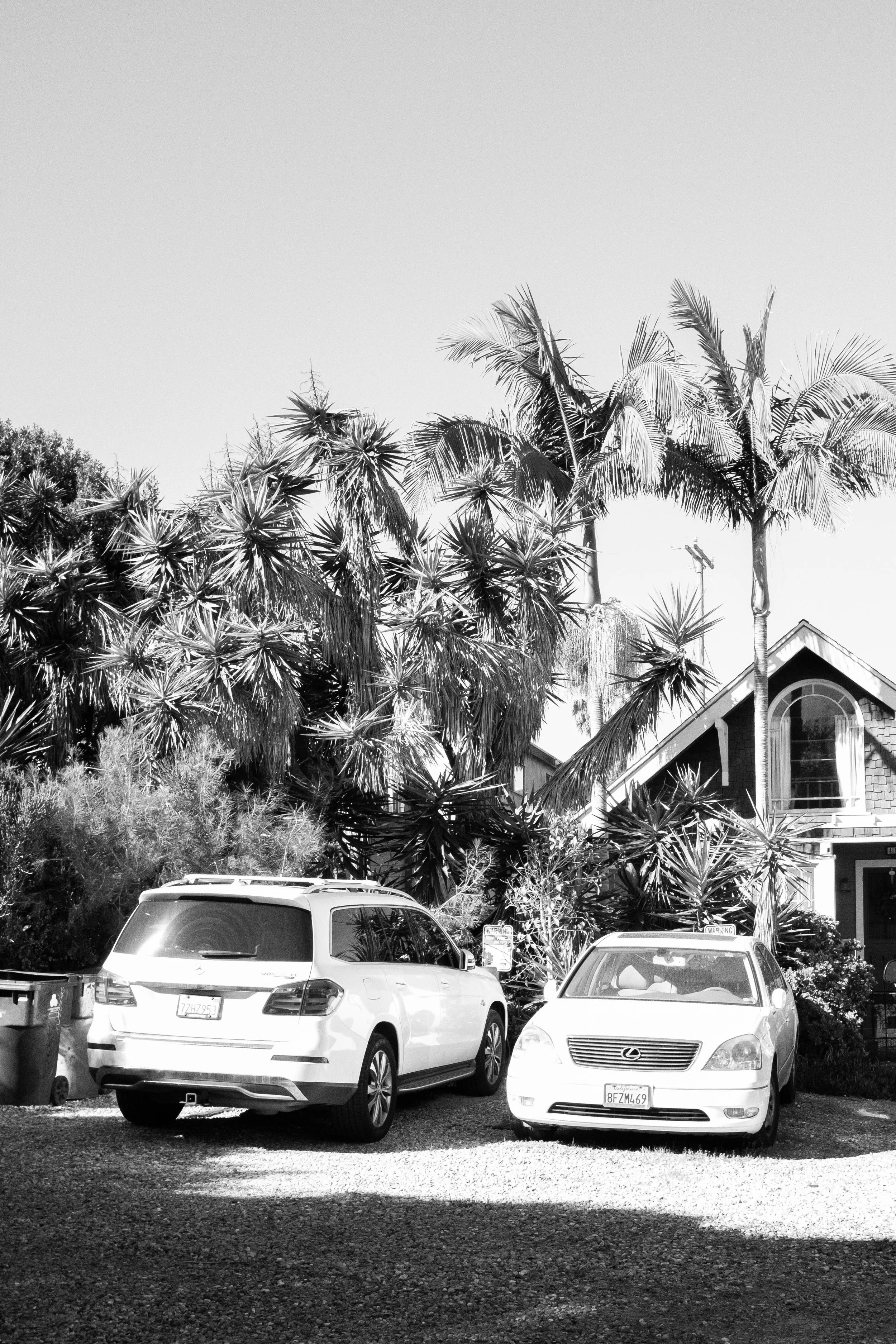 Snapshots From Venice Beach, Malibu, and San Diego | Dec. 2025