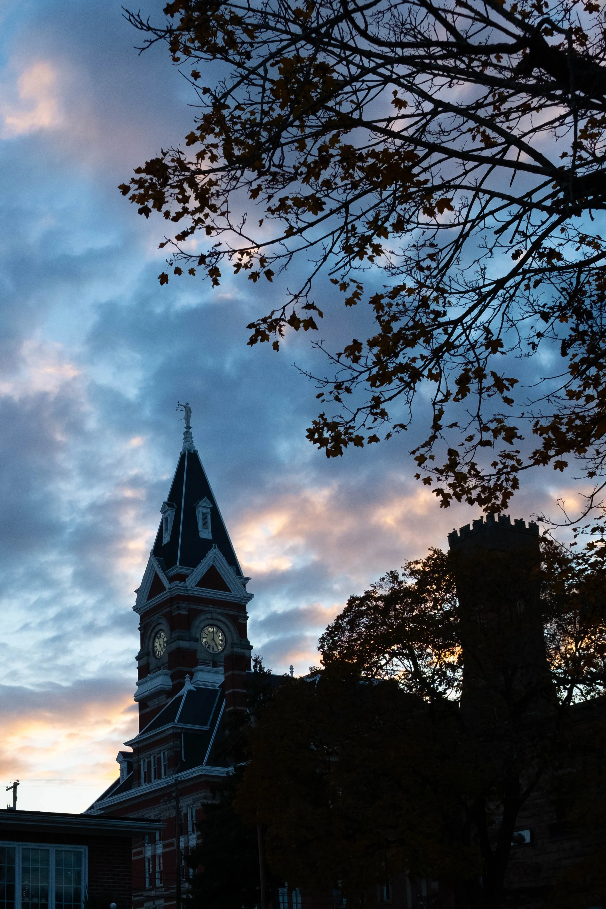 First Week With the Fujifilm X100f | Nov. 2025