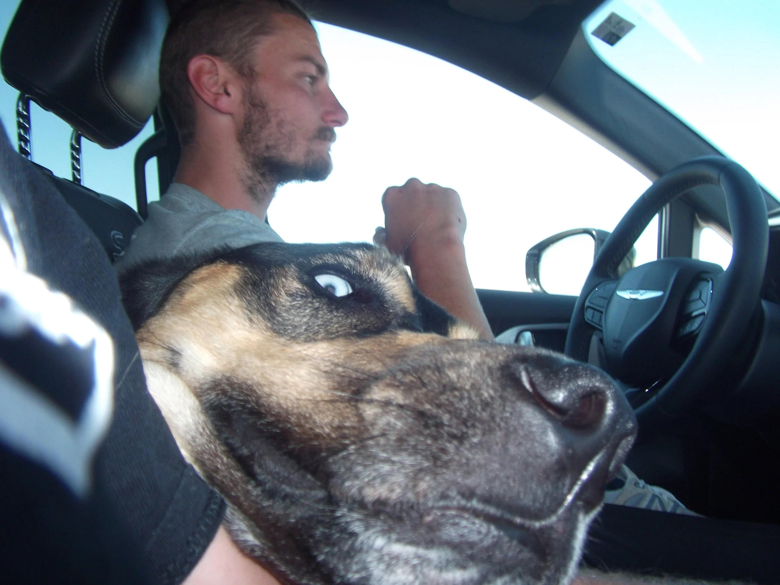 Road Trip Across I-40 | April 2026