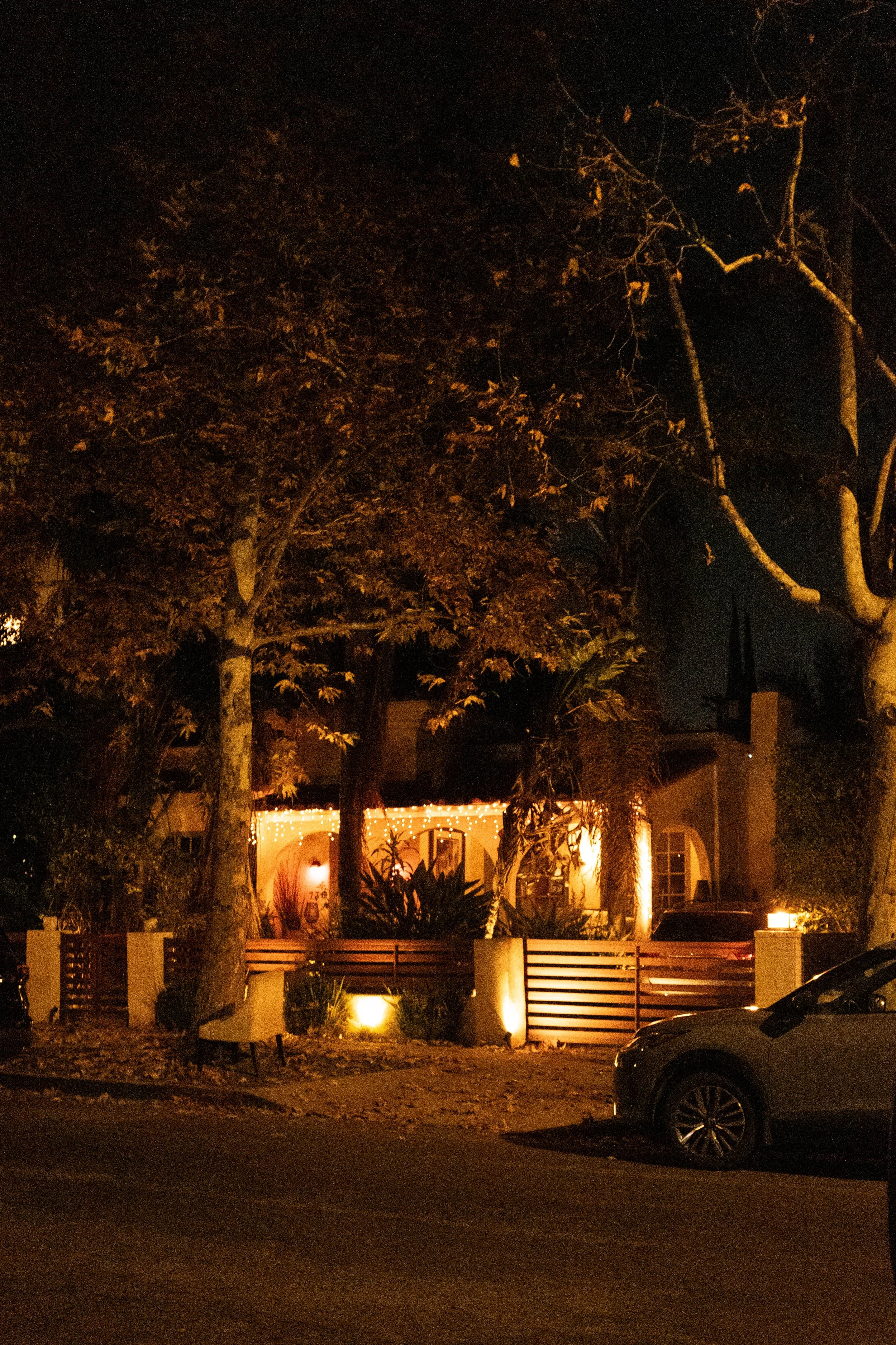 Walking Through the Streets of Hollywood | 12-9-2025