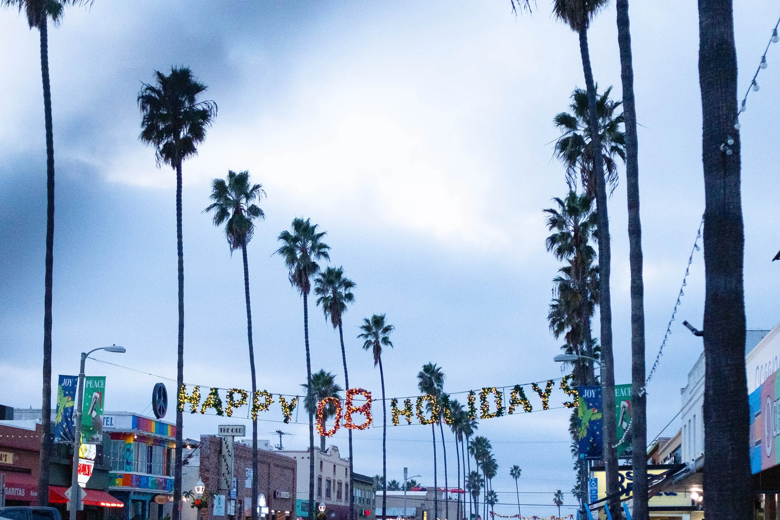 Snapshots From Venice Beach, Malibu, and San Diego | Dec. 2025