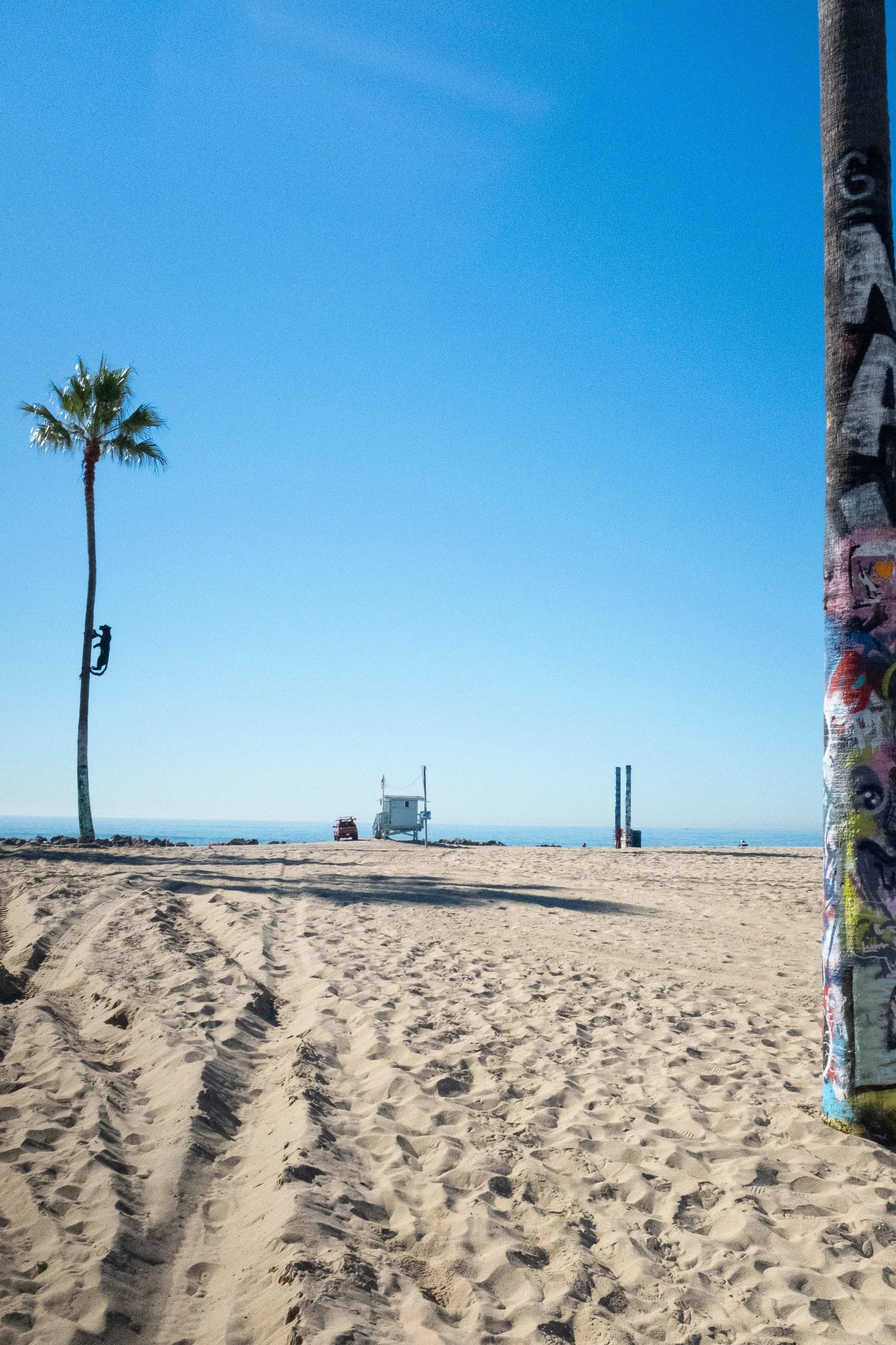 Snapshots From Venice Beach, Malibu, and San Diego | Dec. 2025