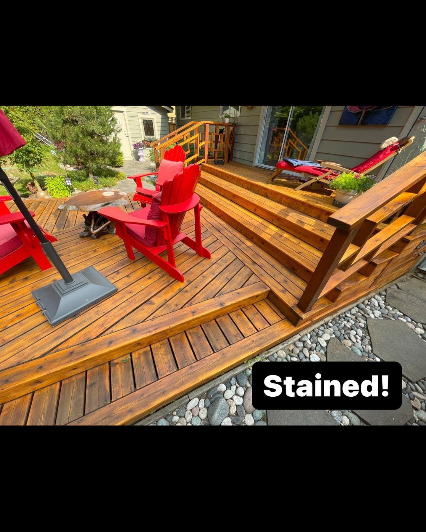 stained jacci 1.jpg