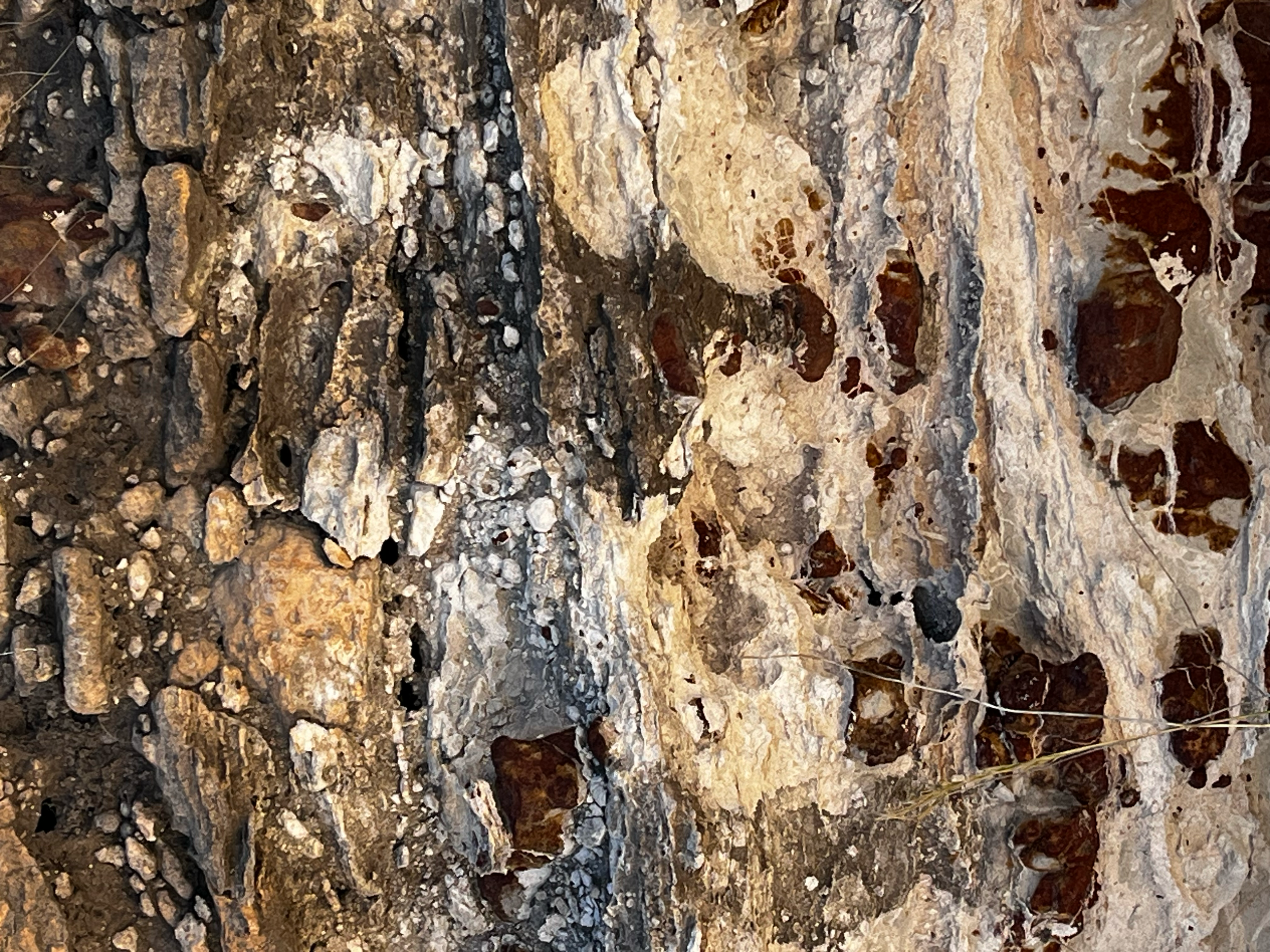 Local geology