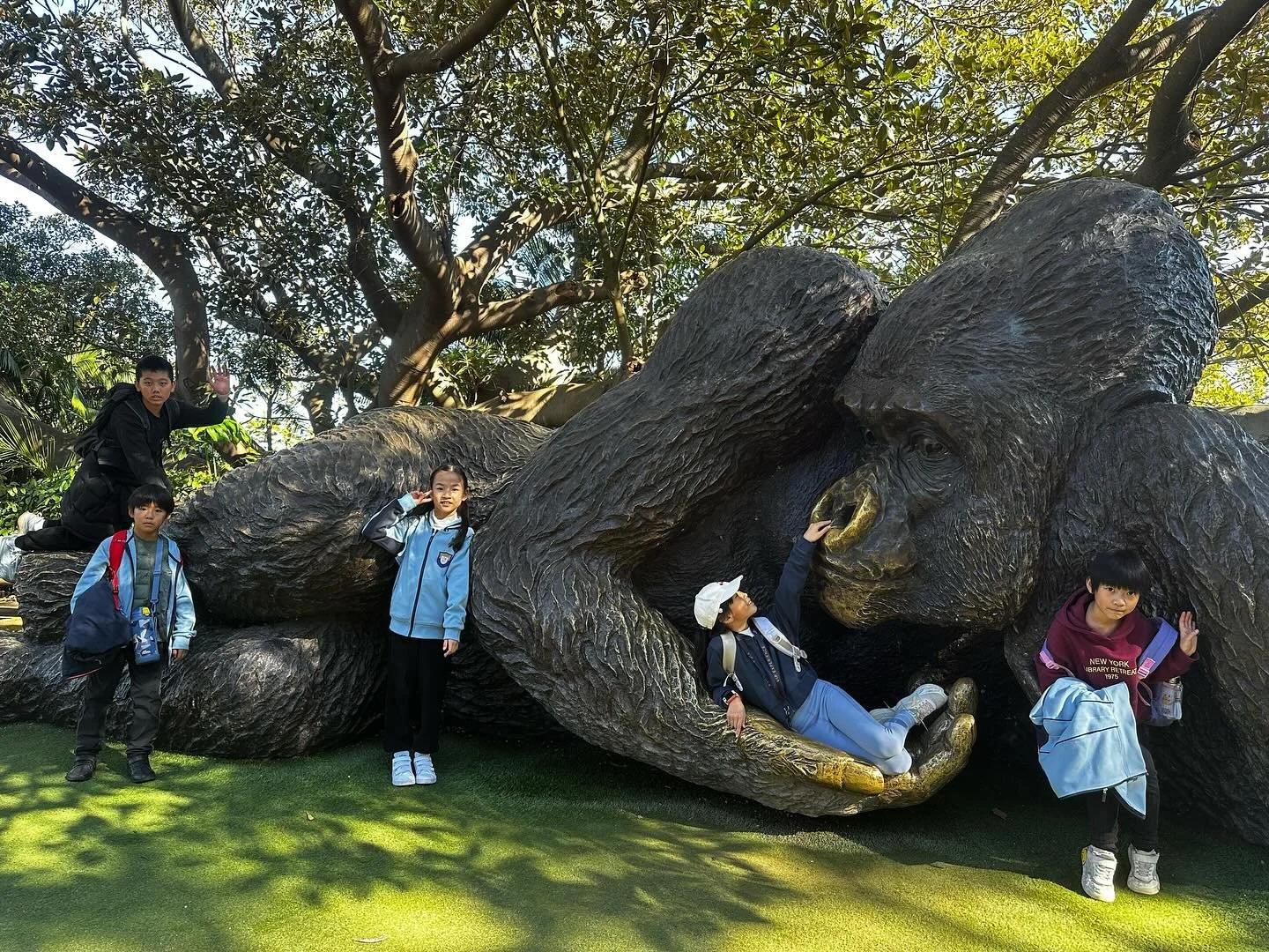 taronga zoo.jpg