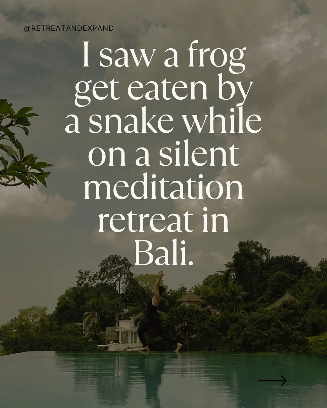 I watched a frog get eaten by a snake while on a silent meditation retreat in Bali. 😬

No warning. No one to tell. Just me, the jungle, and the distressing sound the frog was making.

I&rsquo;ve never seen anything like it. This was National Geograp
