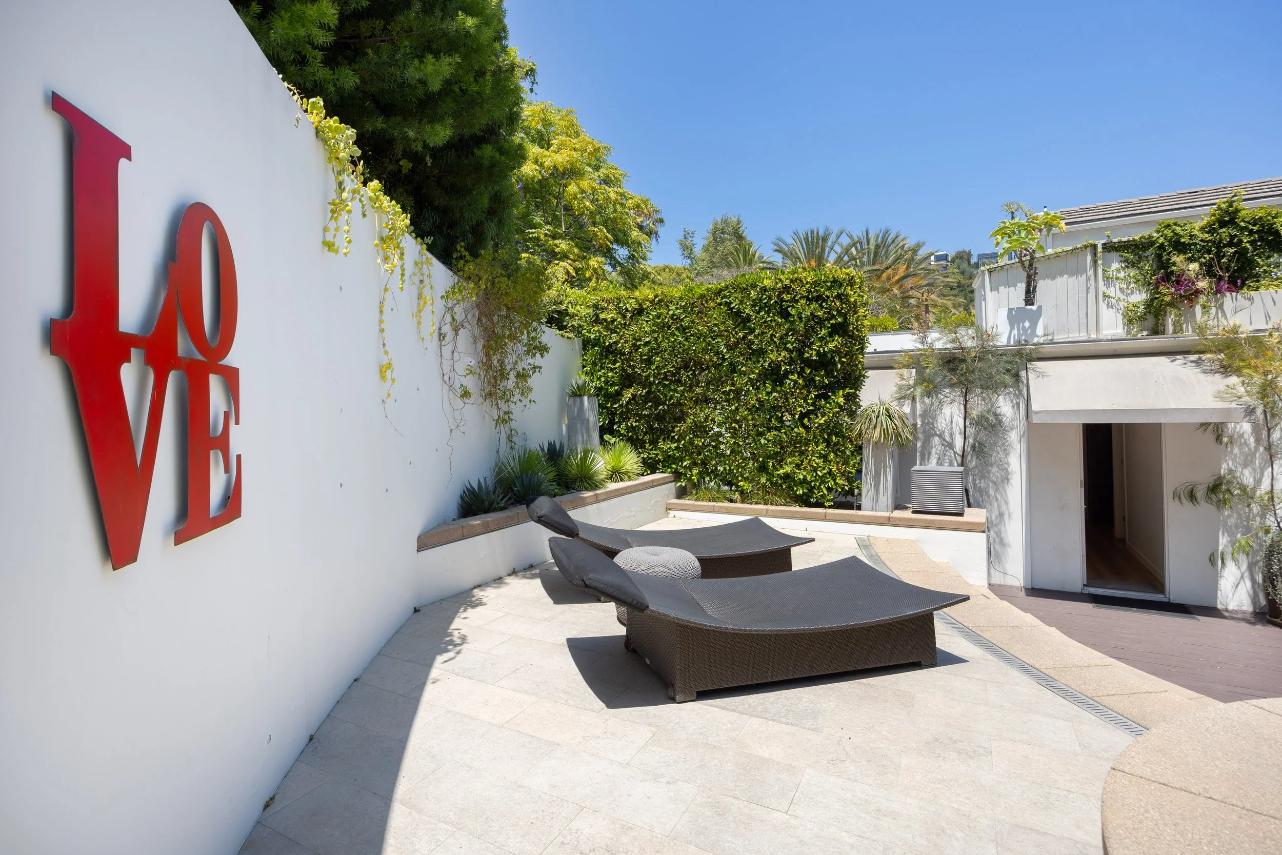 Backyard1.jpg