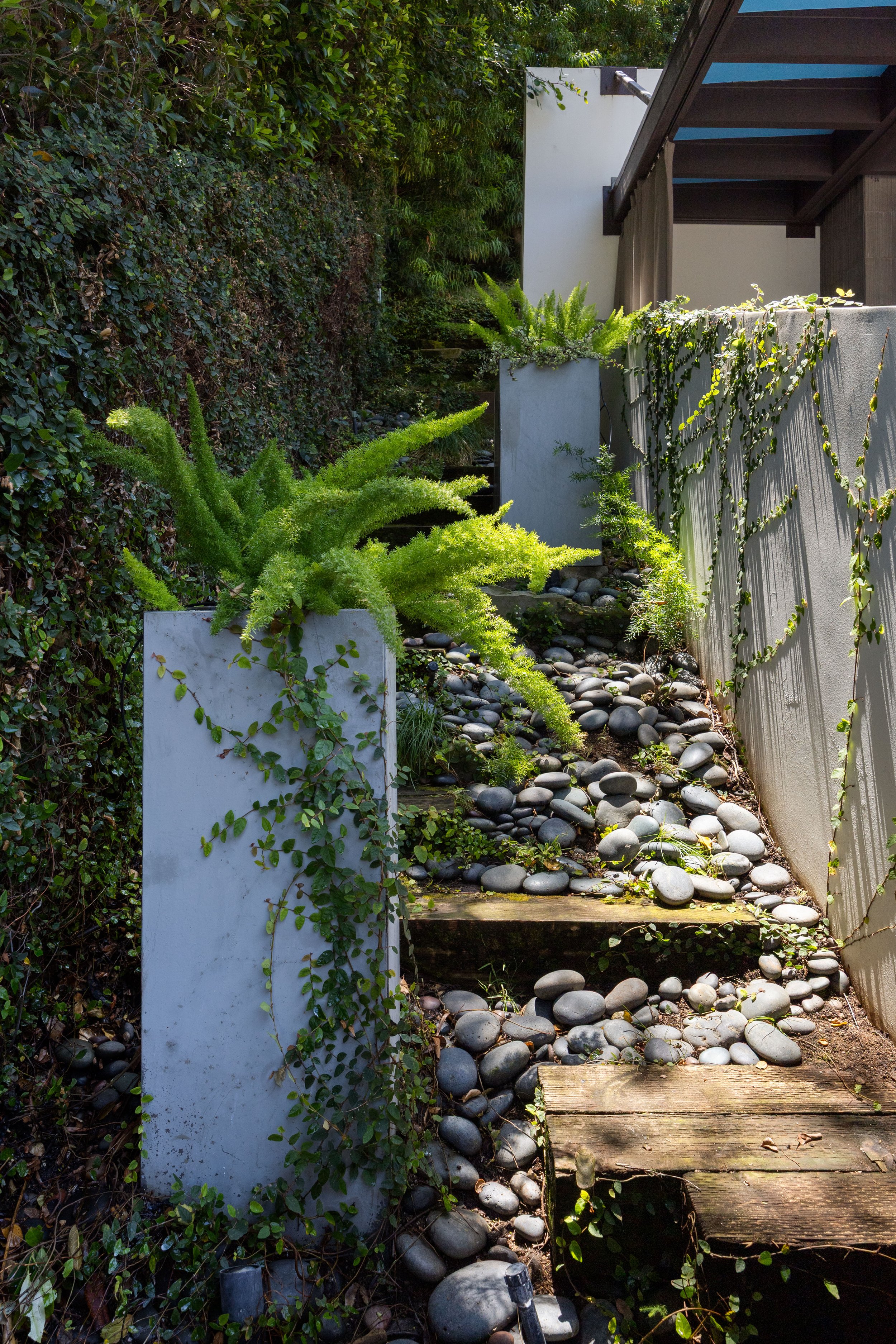 Backyard10.jpg