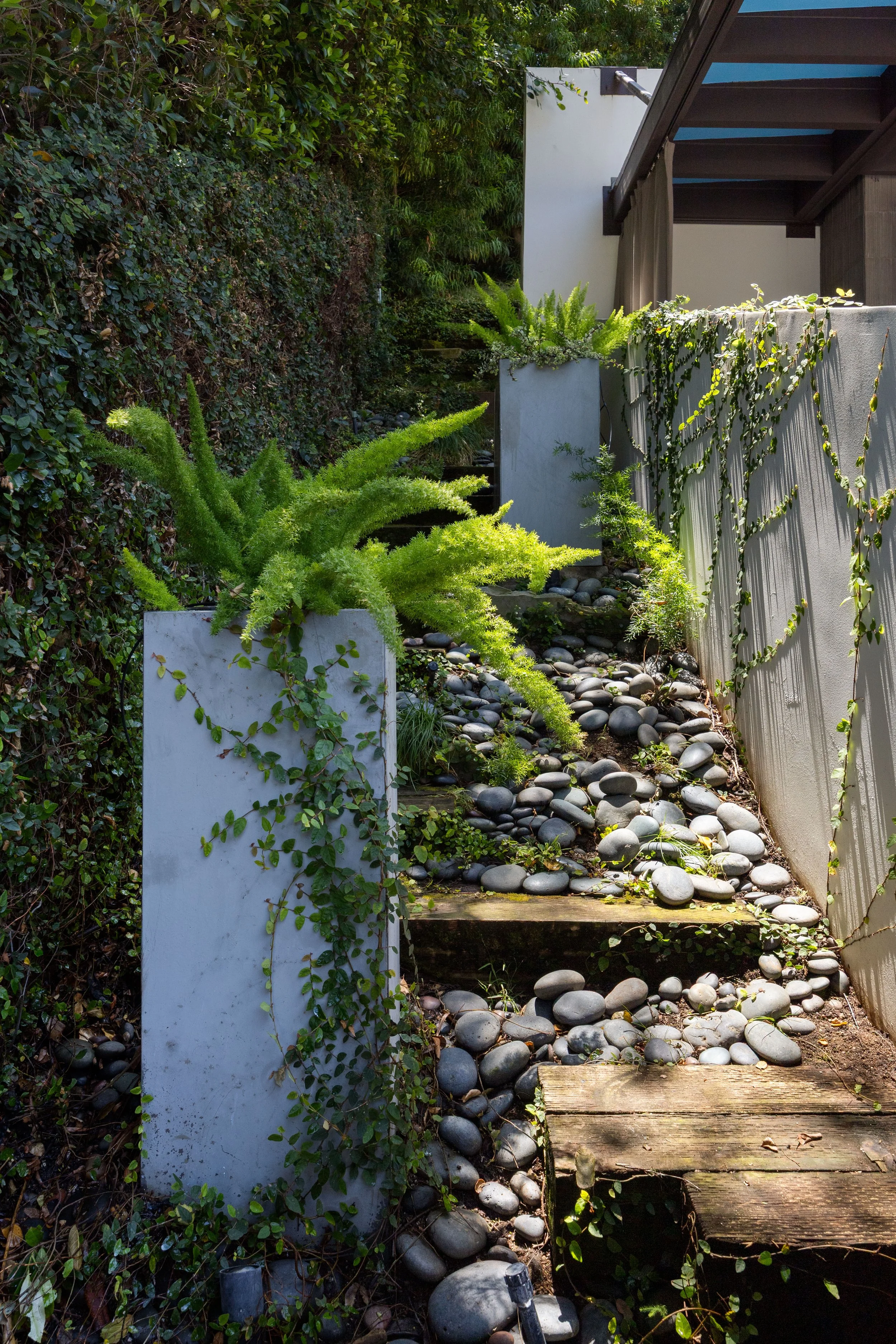 Backyard10.jpg