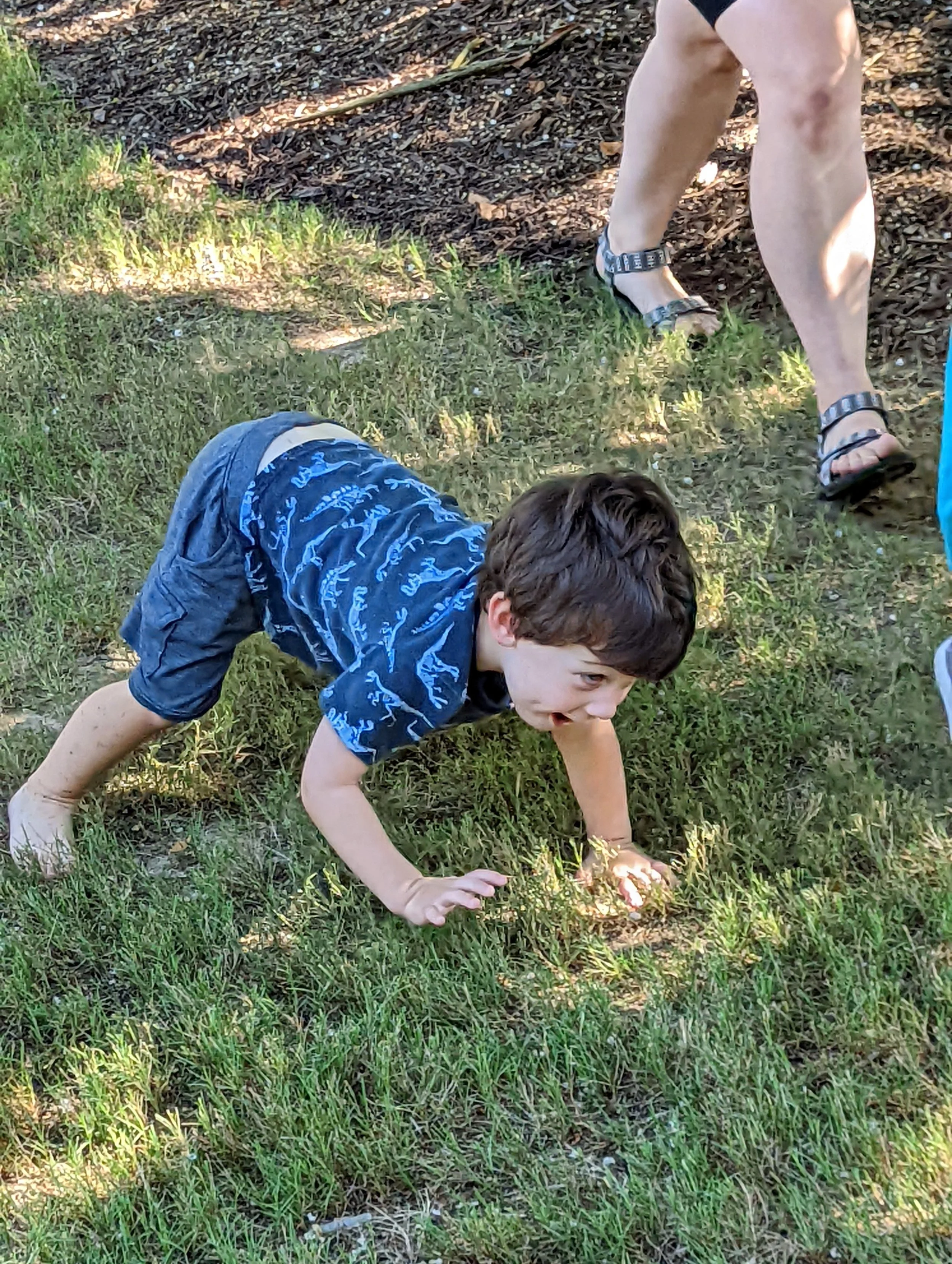 summer bear.jpg