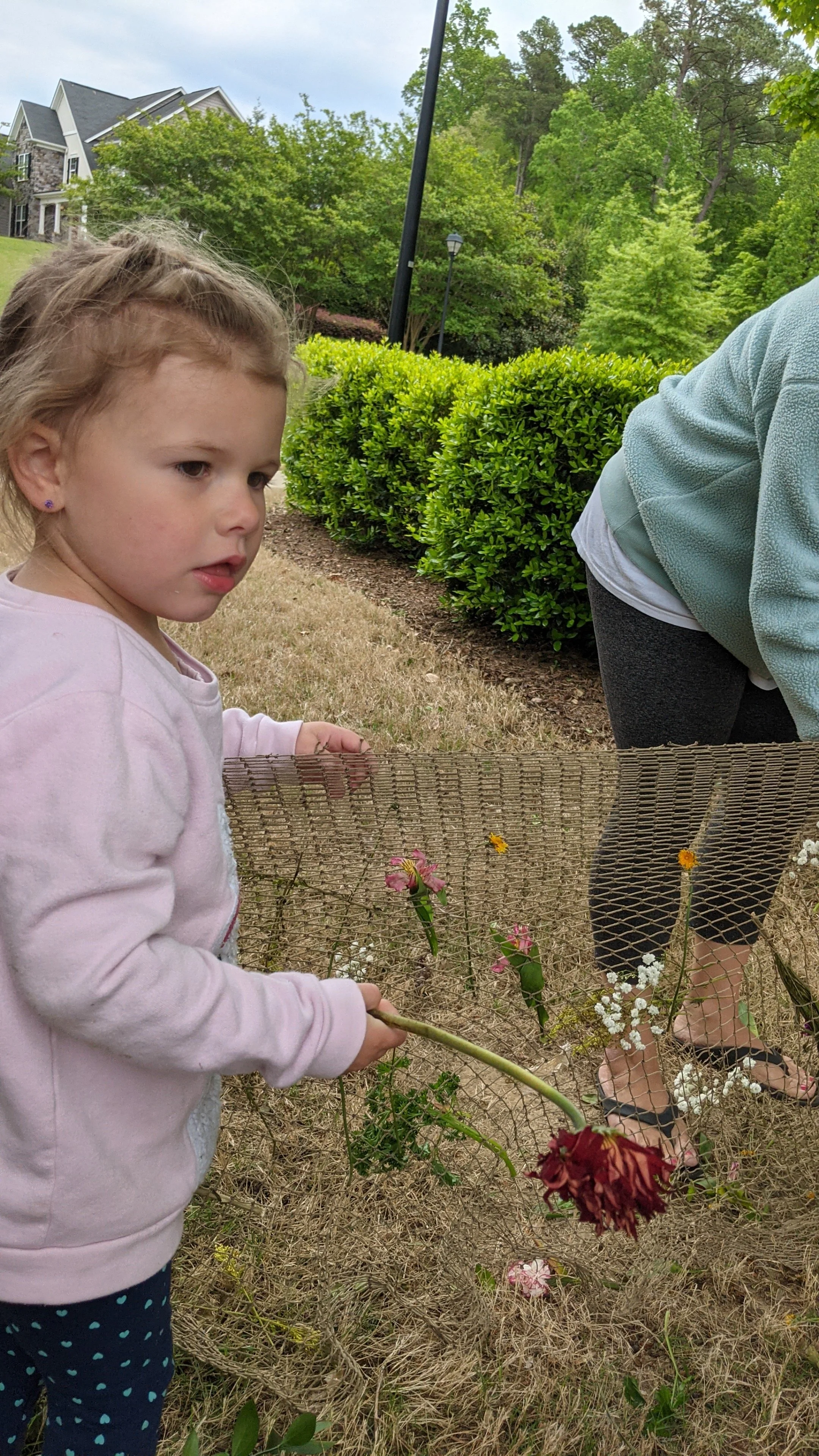 spring flowers.jpg