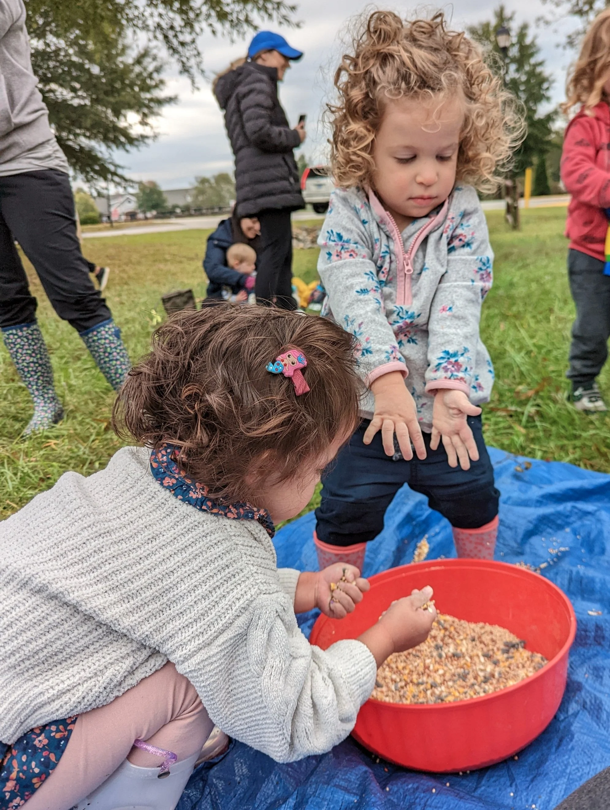 fall+bowl+seed.jpg