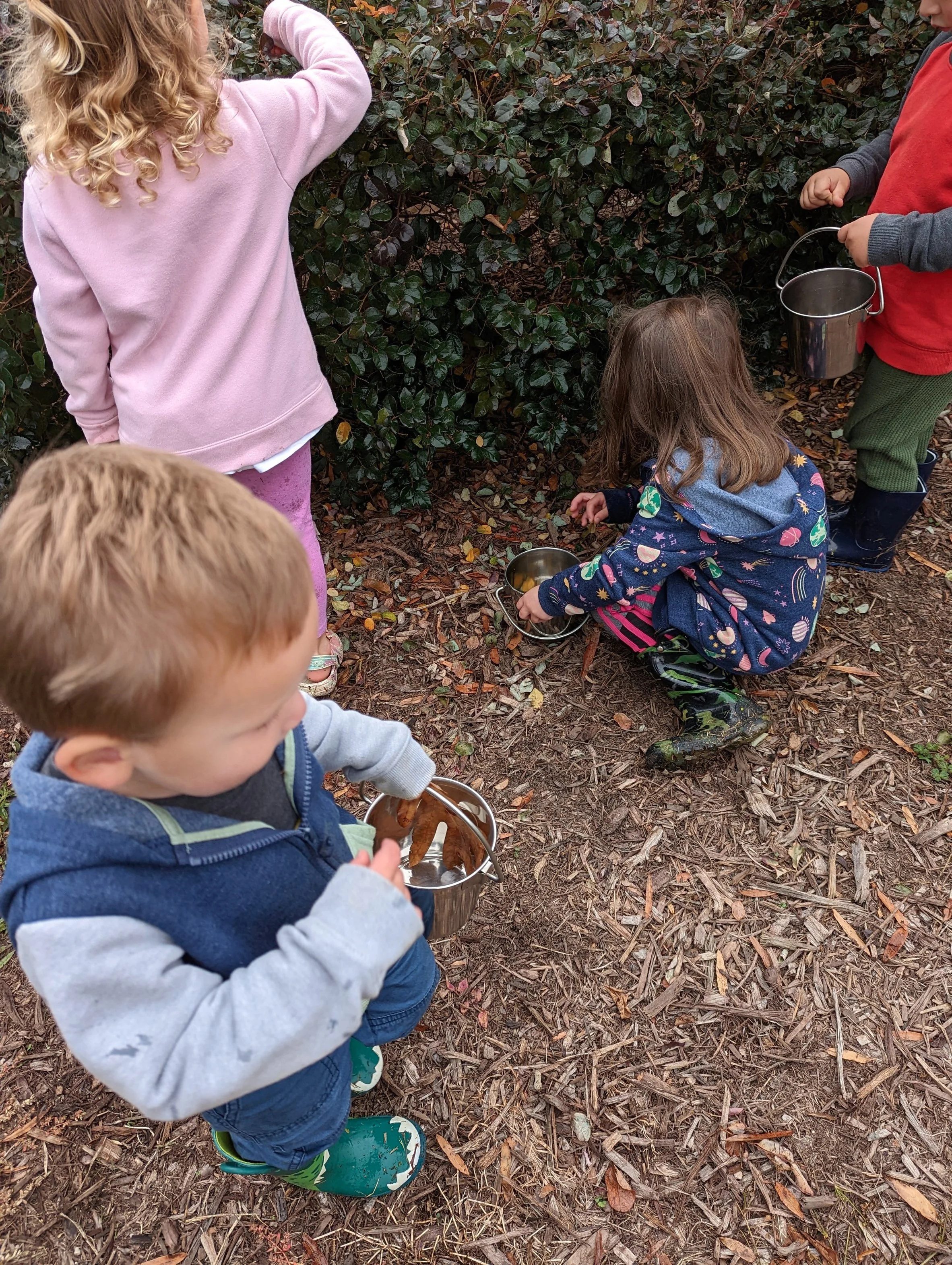 PXL_20221025_143816411.jpg