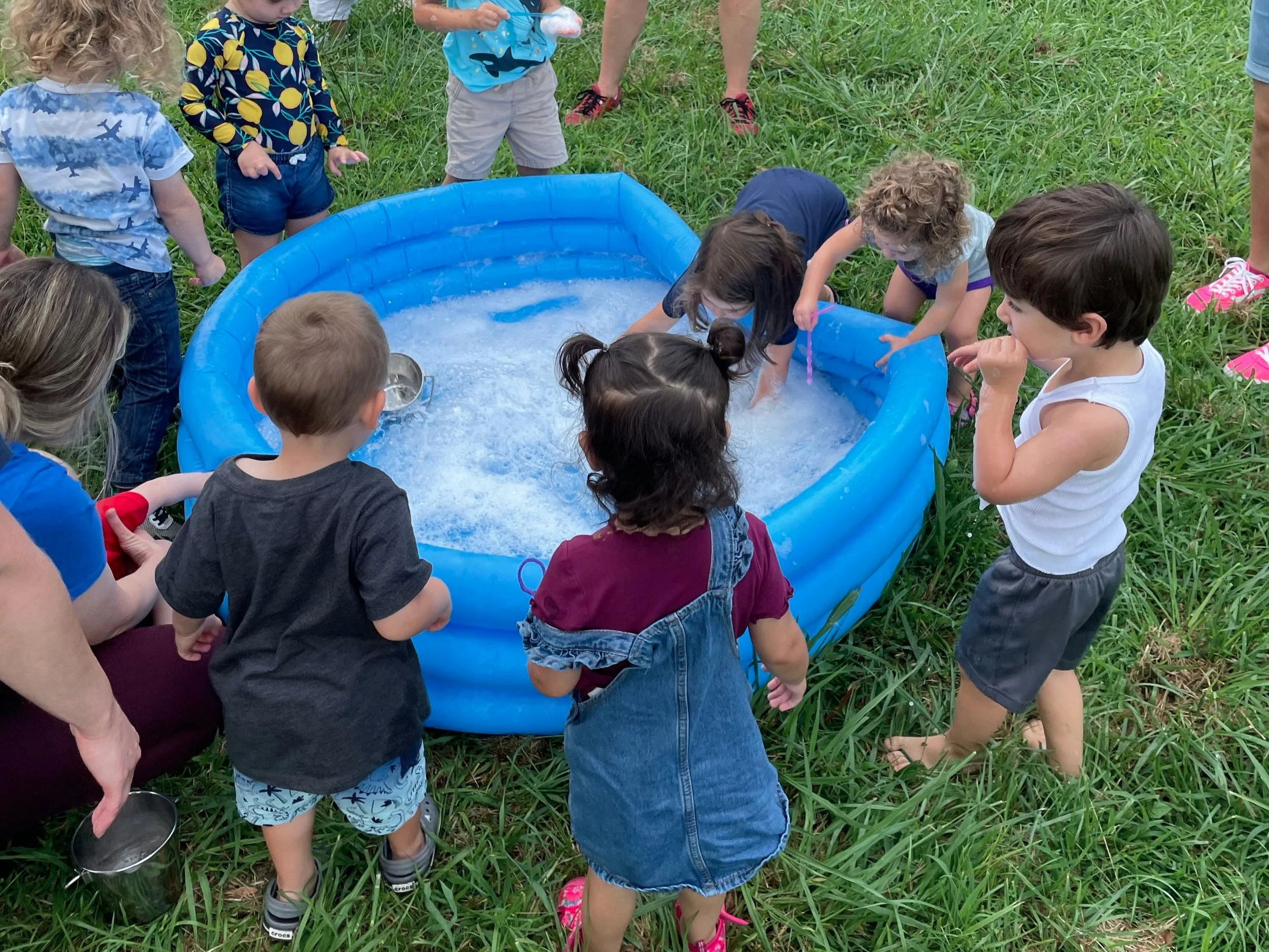 summer+pool.jpg