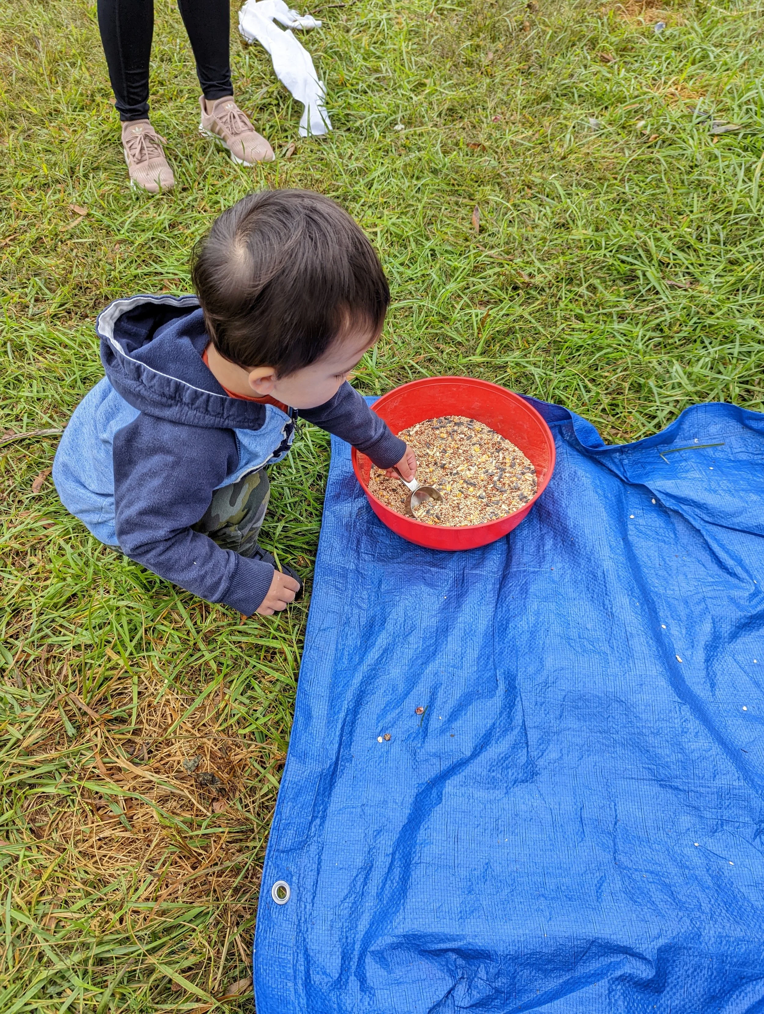 fall seeds.jpg
