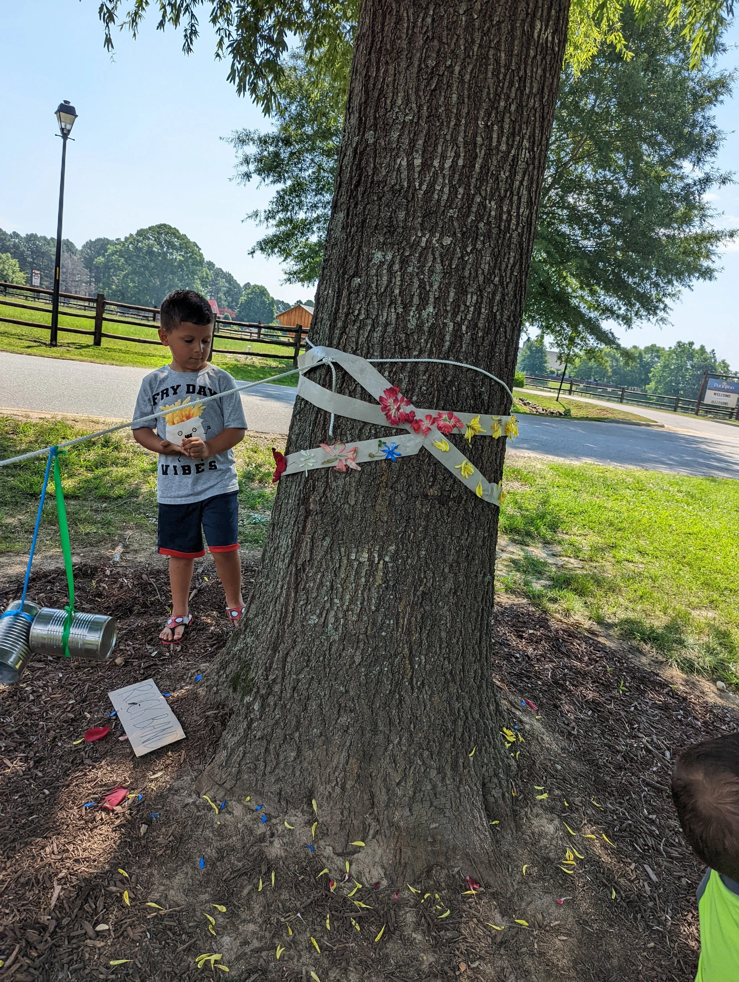 spring tree.jpg