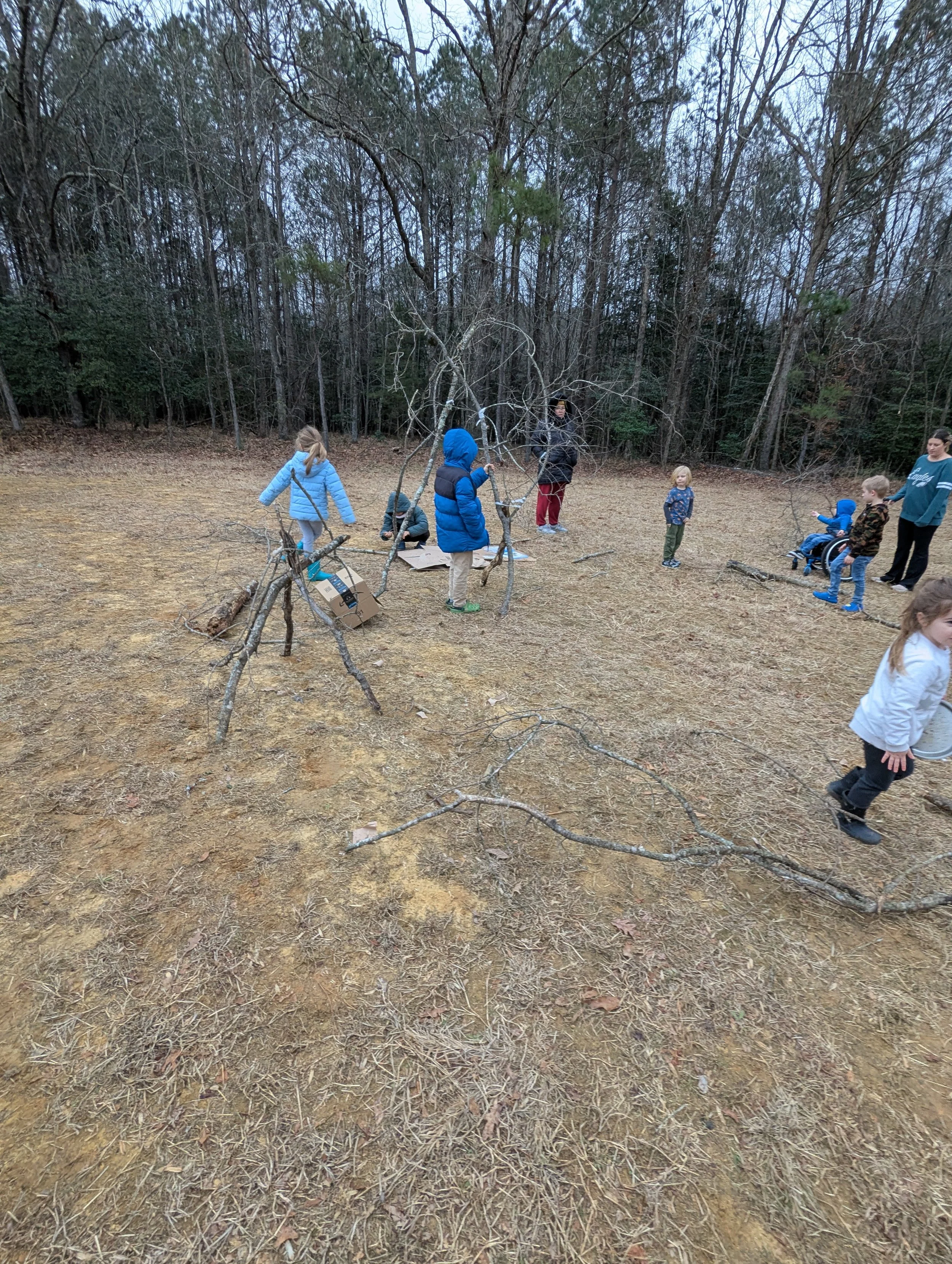 PXL_20250127_193320007.jpg