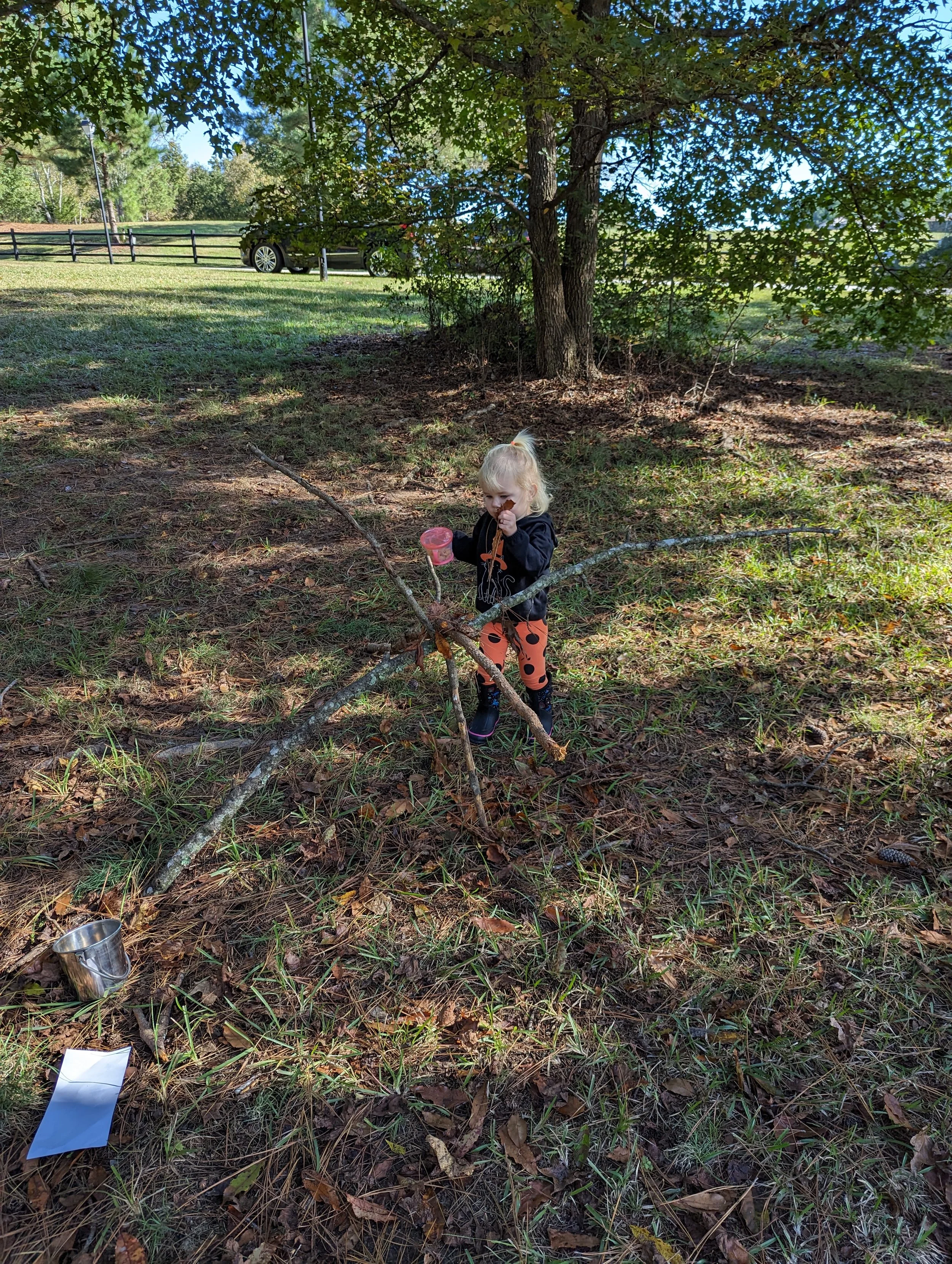 PXL_20231016_144240555.jpg