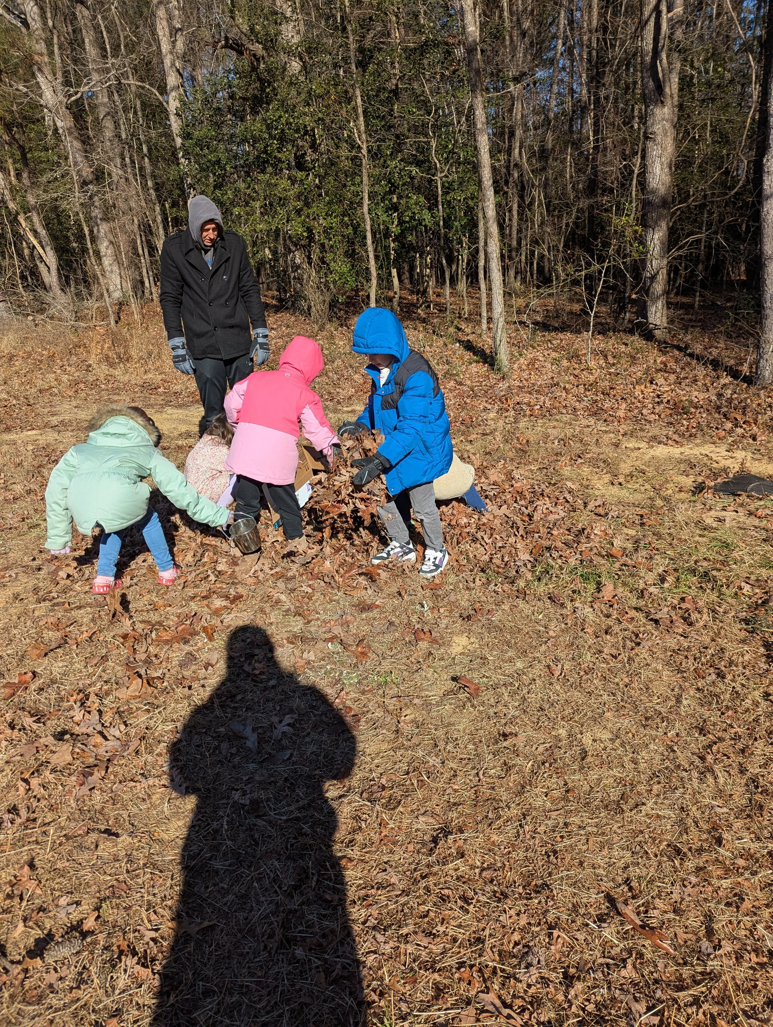 PXL_20250120_191232184.jpg
