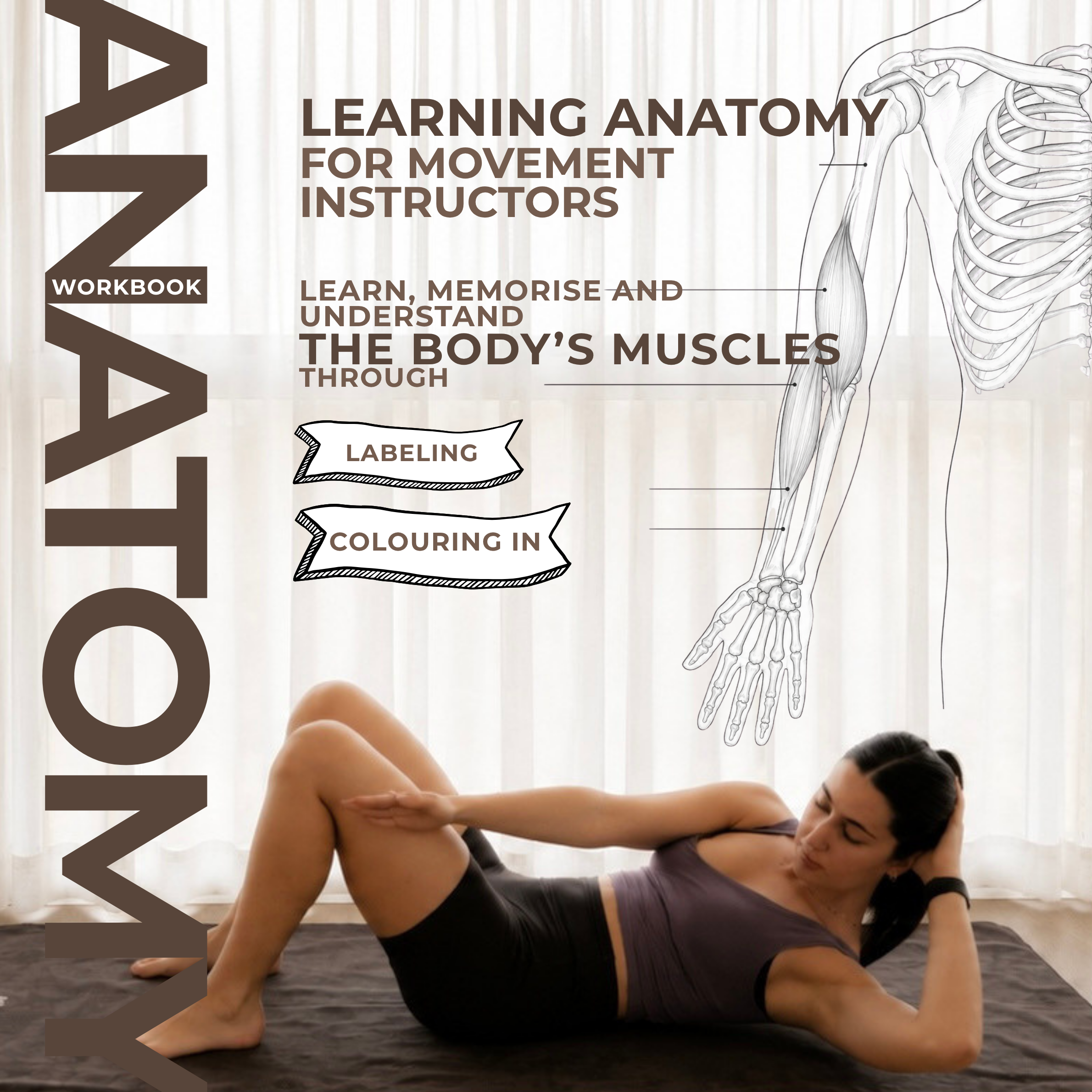 ANATOMY Workbook (Square Pillow).png