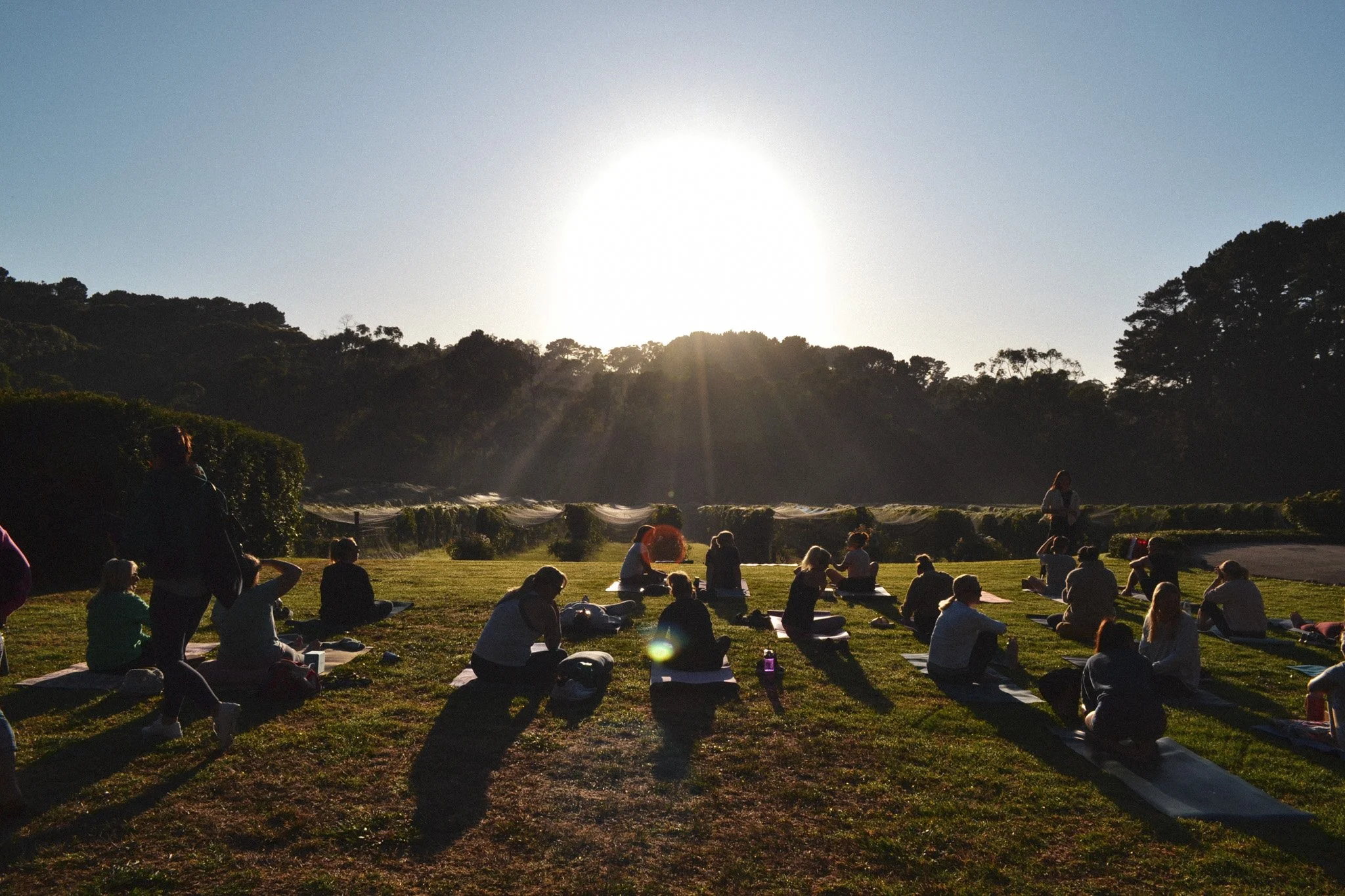 Yoga in the vines