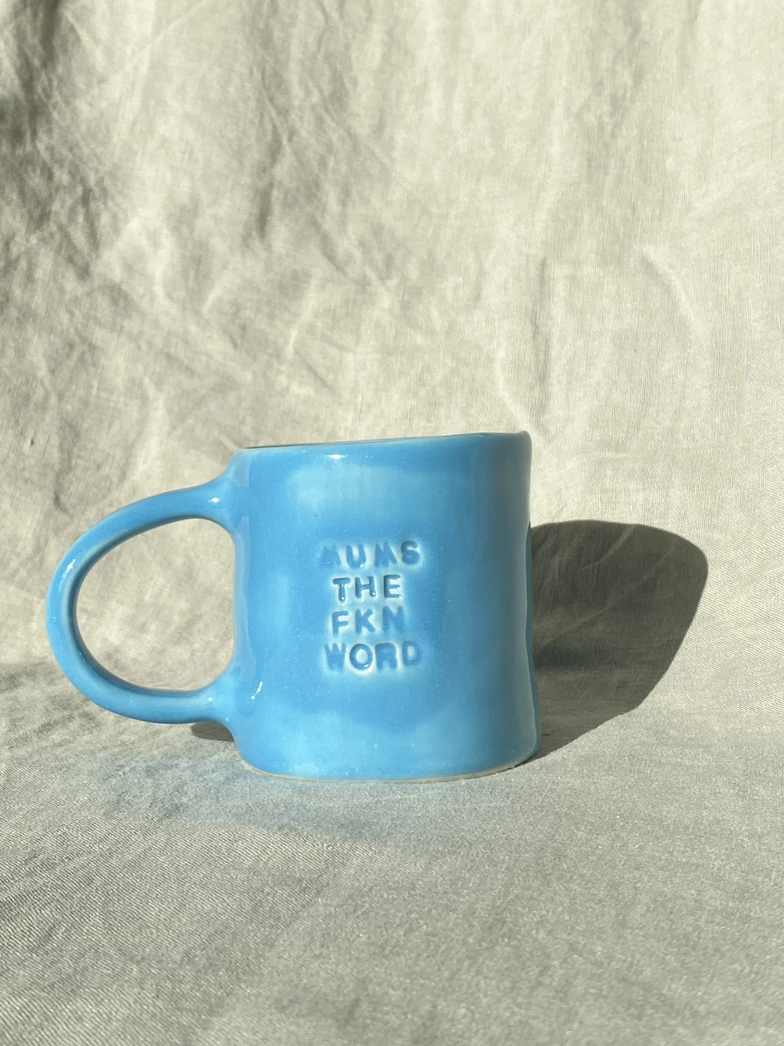 Mums The Fkn Word Mug (blue)