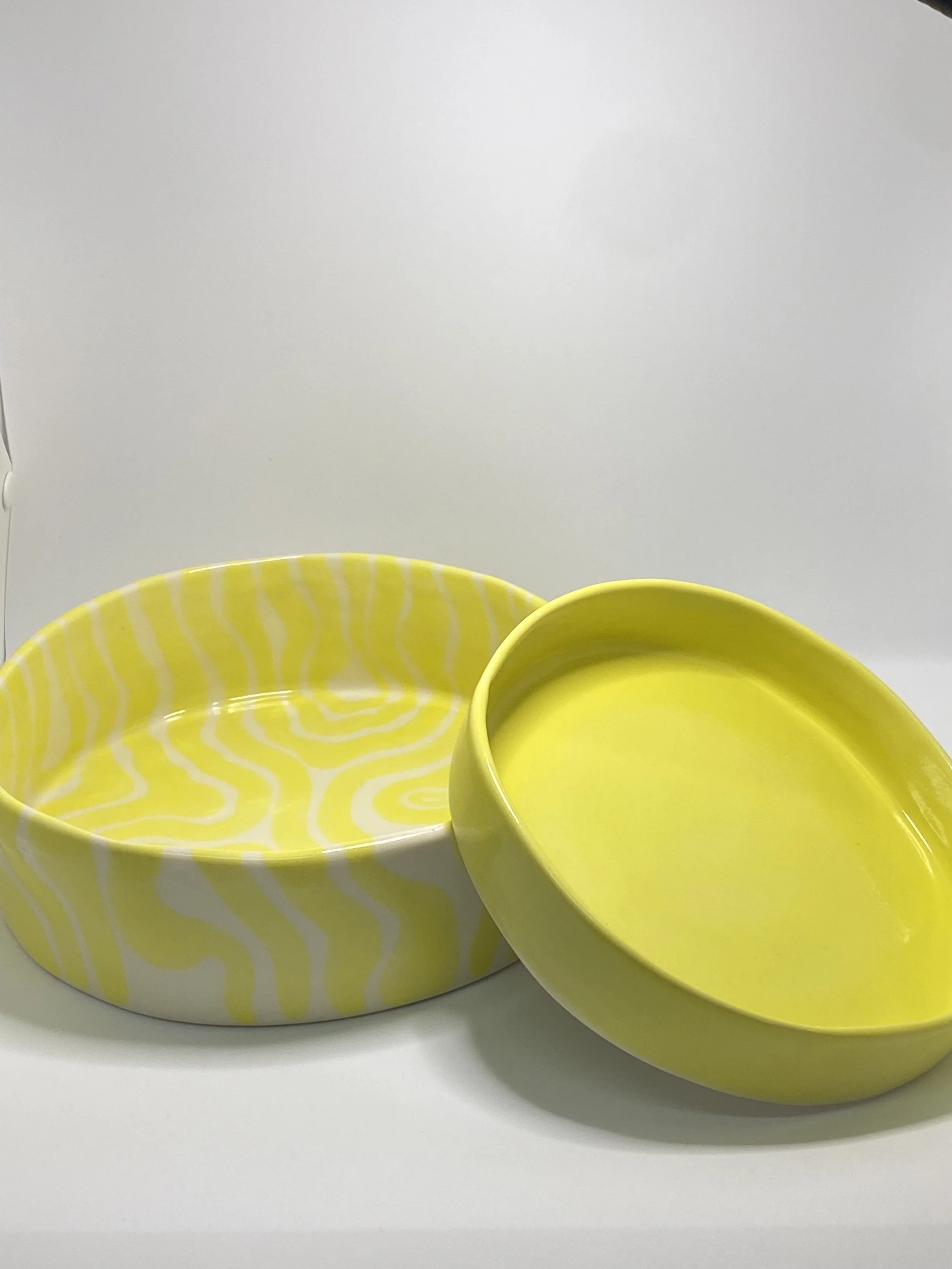 Pet Bowl Set - lemonade