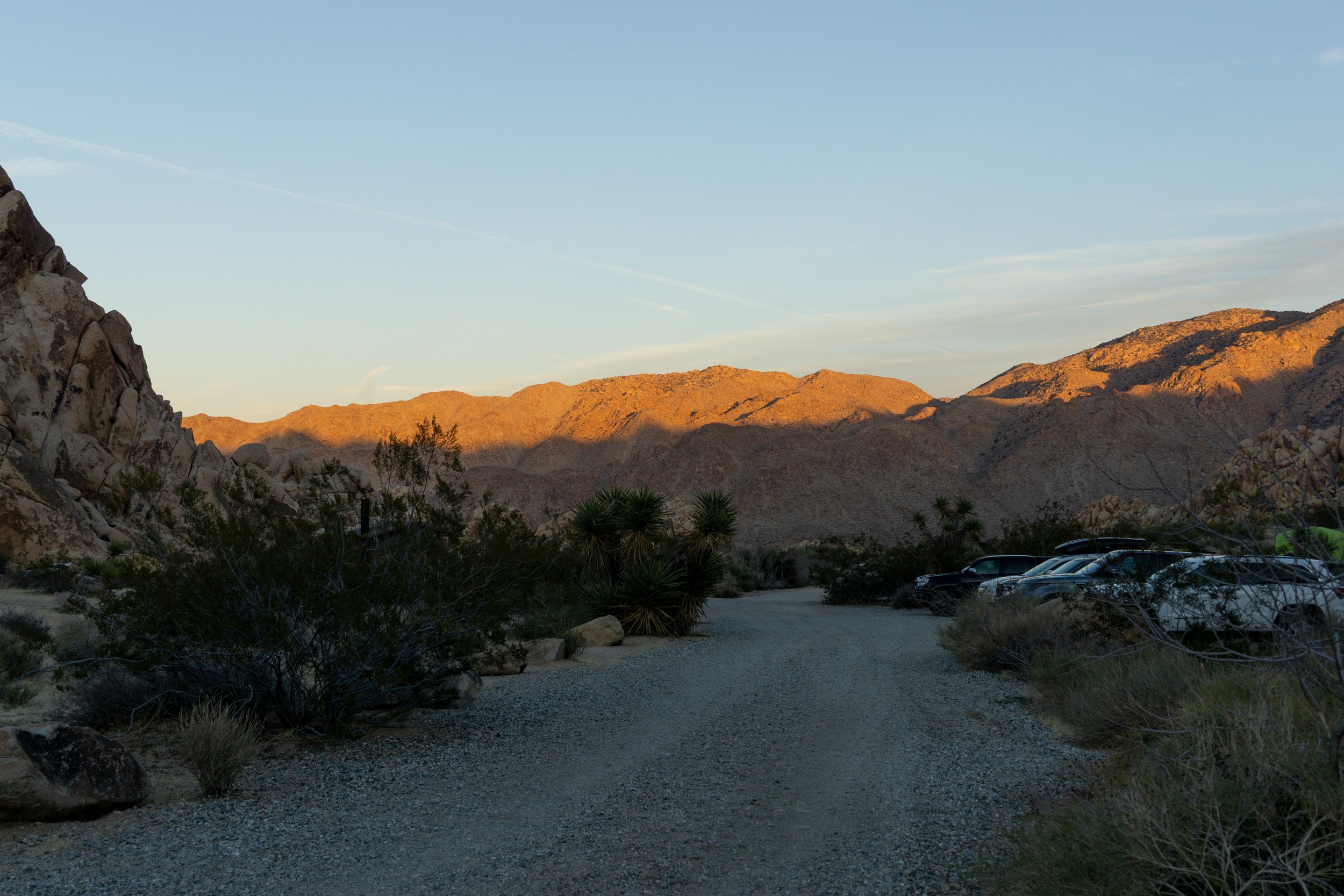JTree March23-45.jpg