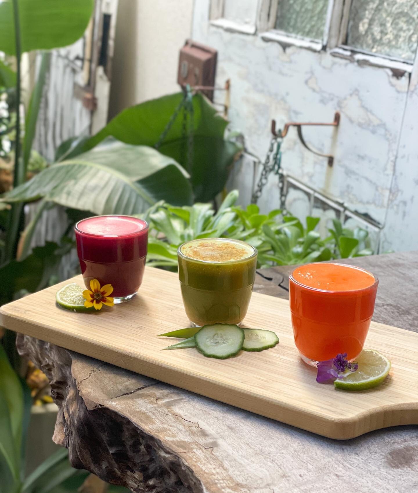 SUNDAY: A day to relax, rewind and reflect before a new week begins!

Why not try our trio of wellness shots? Energise, cleanse and restore your senses. We&rsquo;ve got you 🧡💚💜
&bull;
&bull;
&bull;
&bull;
#AlimentaryEatery #Wellness #SundayVibes #