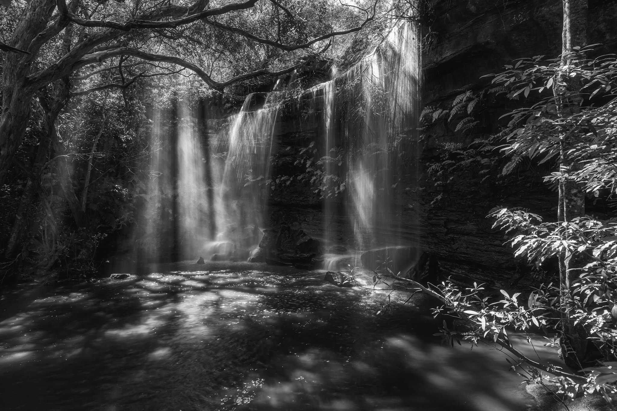 IMG_4329_BW.jpg